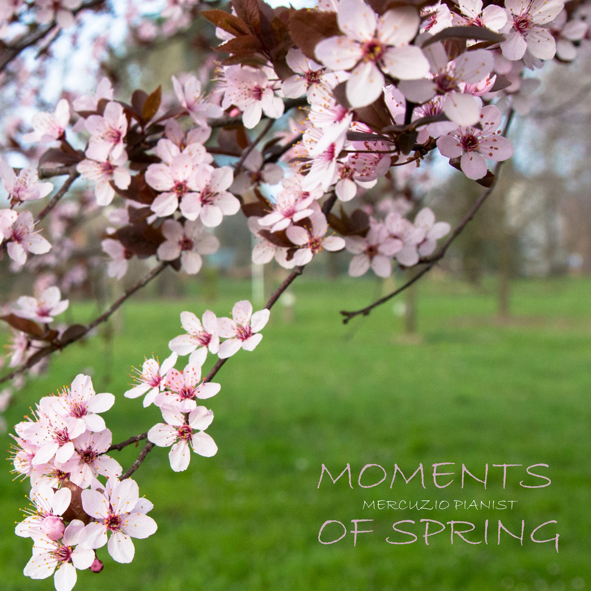 Постер альбома Moments Of Spring