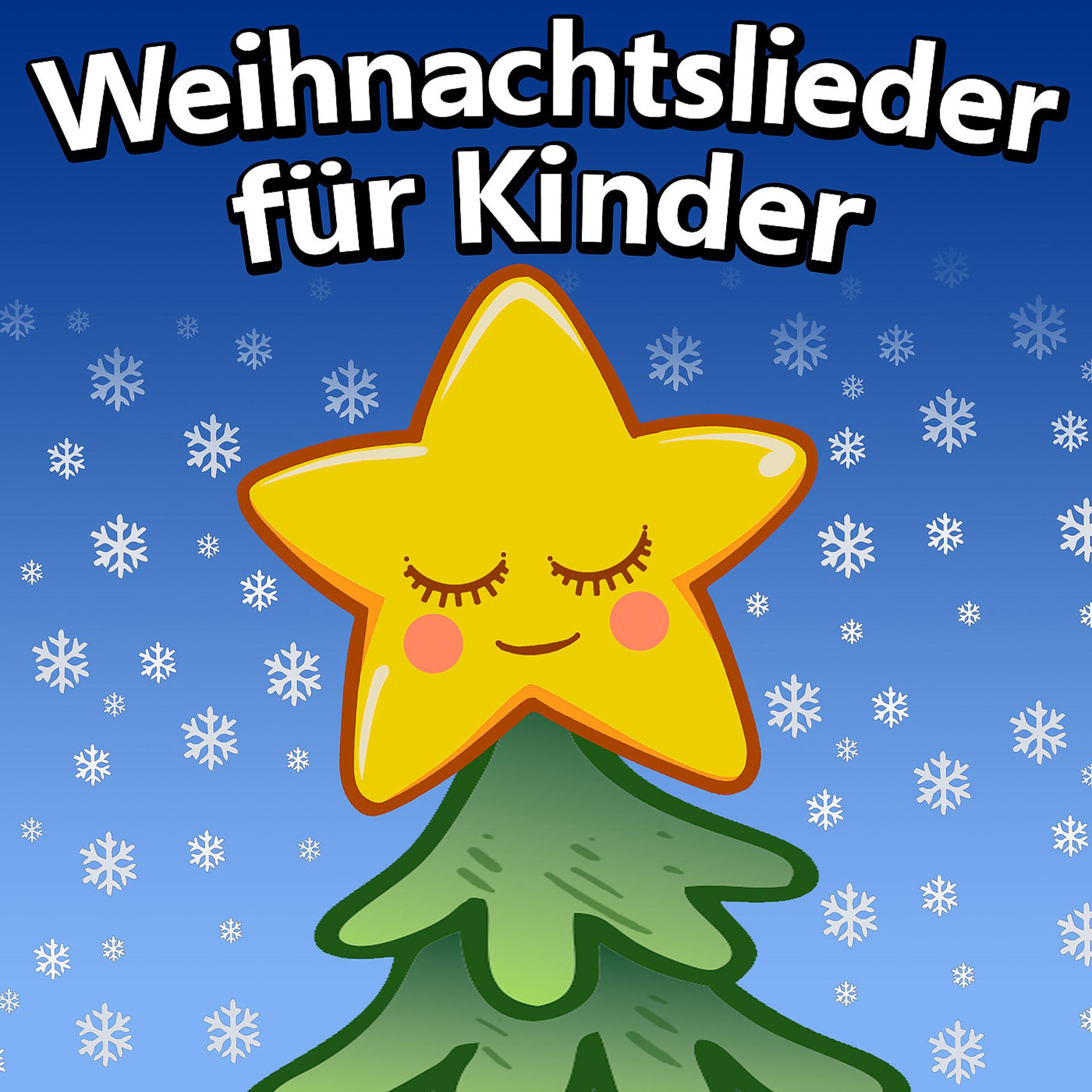 Постер альбома Weihnachtslieder für Kinder