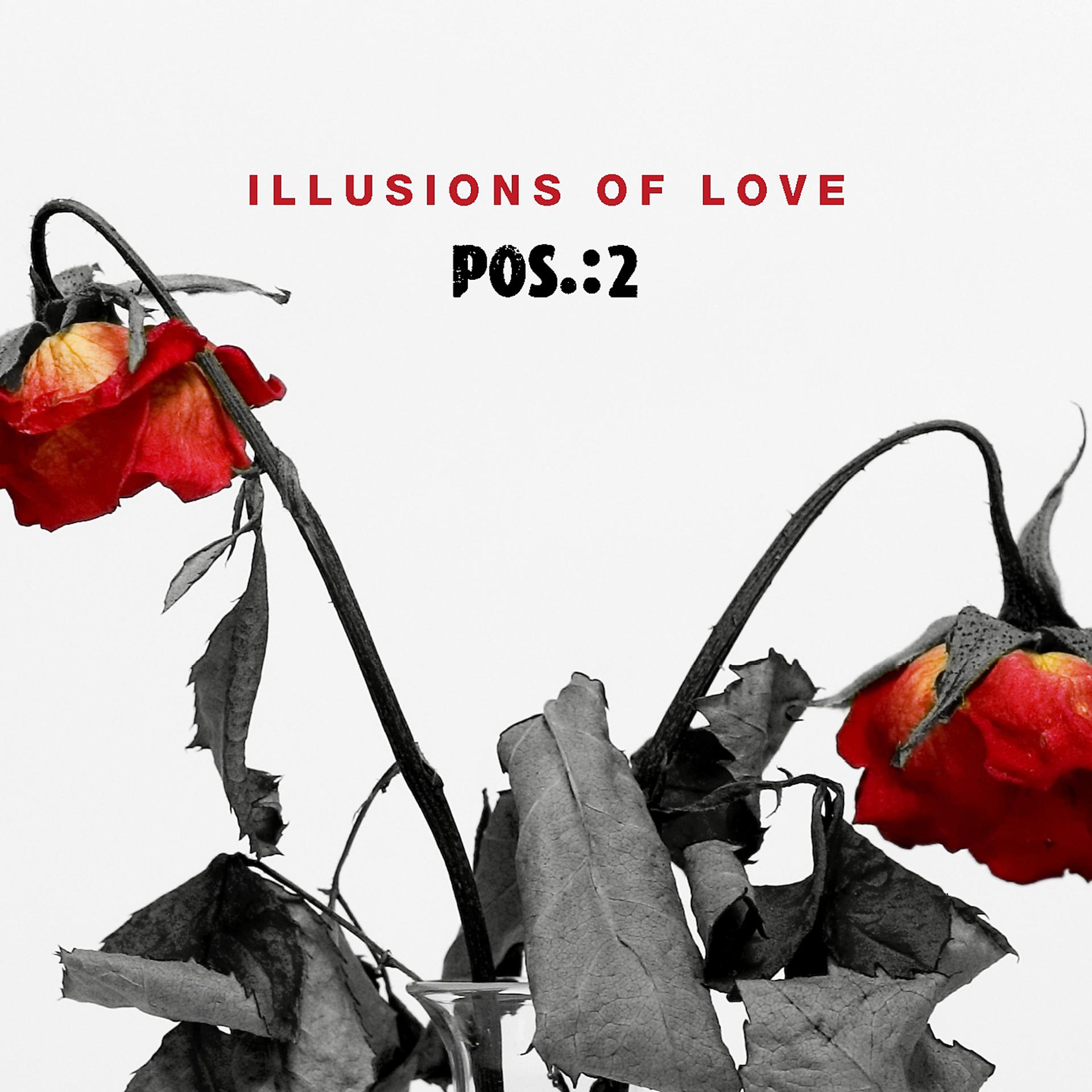 Постер альбома Illusions of Love