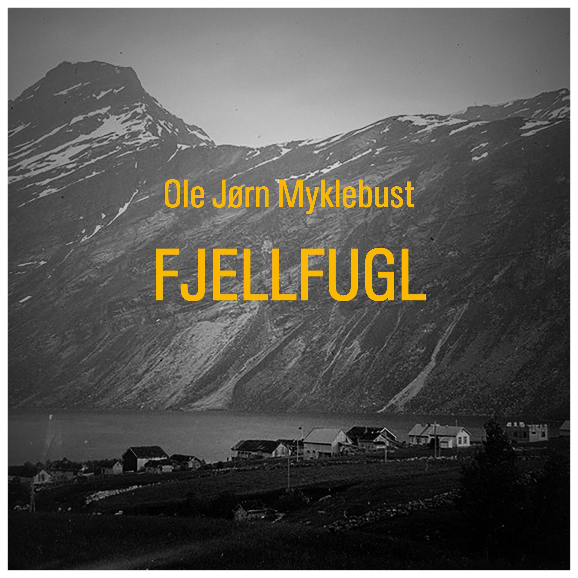 Постер альбома Fjellfugl