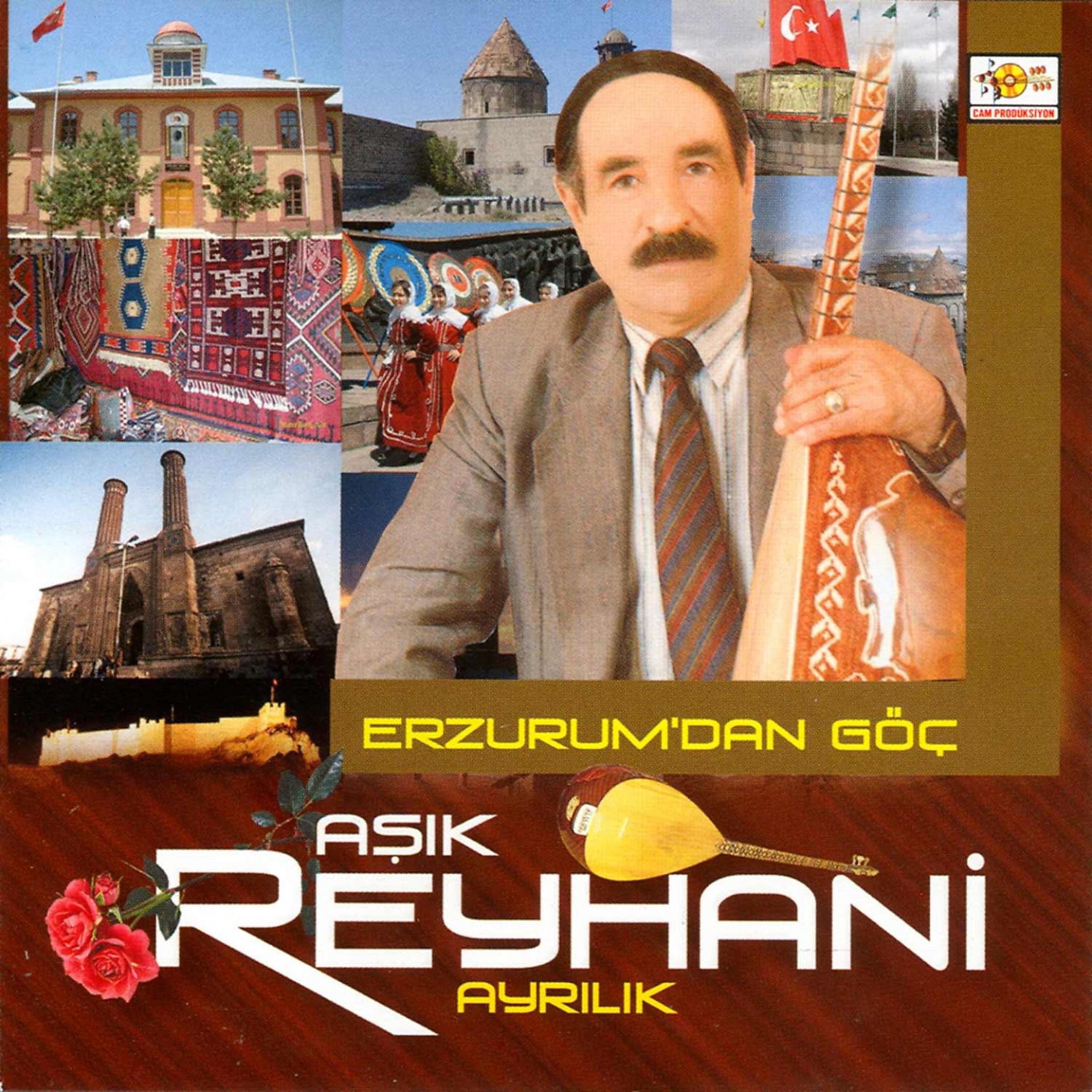 Постер к треку Aşık Reyhani - Turnalar
