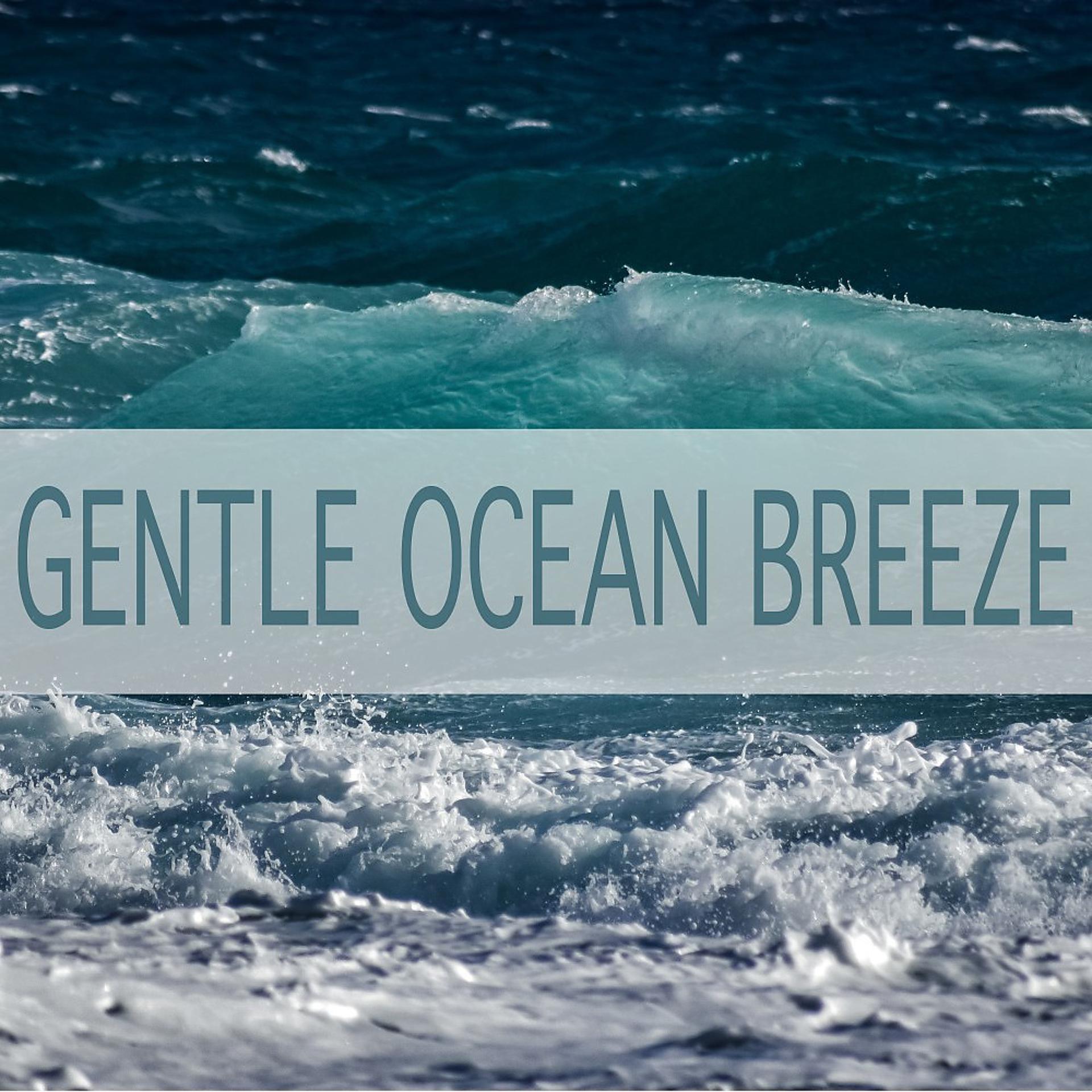 Постер альбома Gentle Ocean Breeze