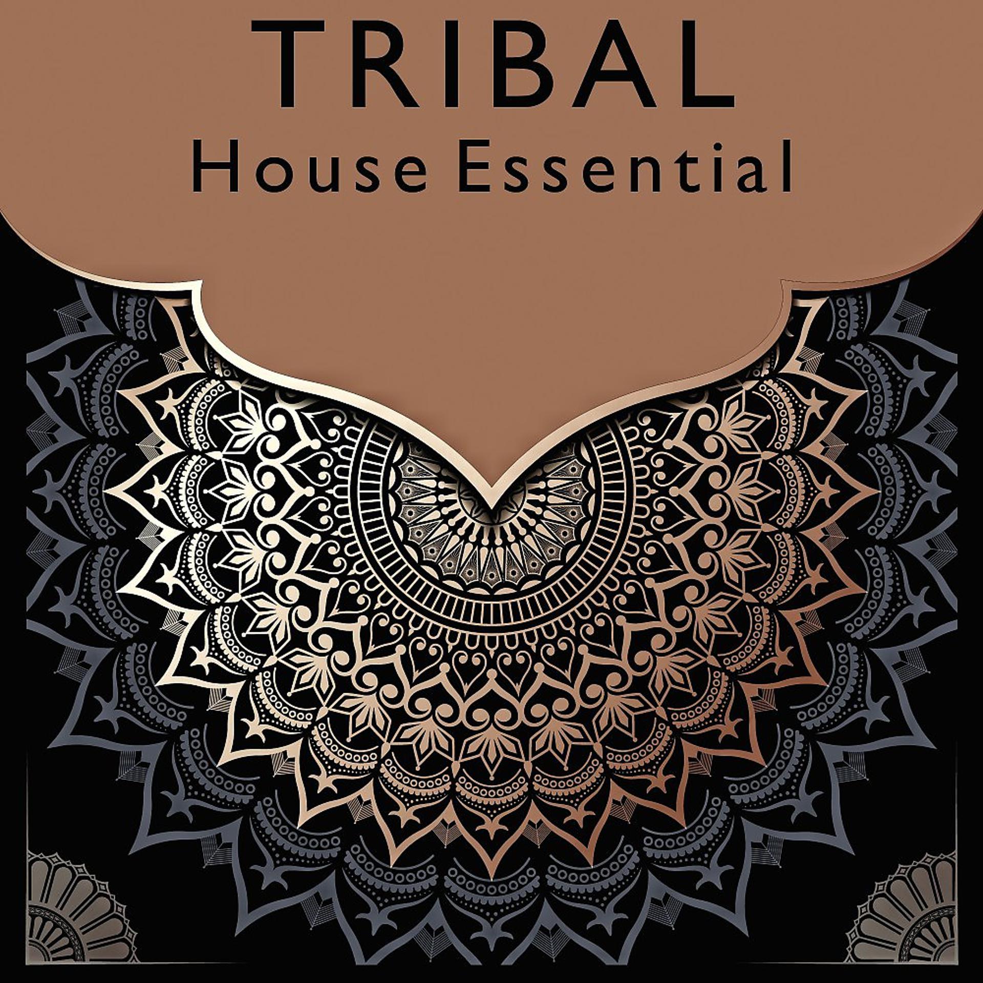 Постер альбома Tribal House Essential