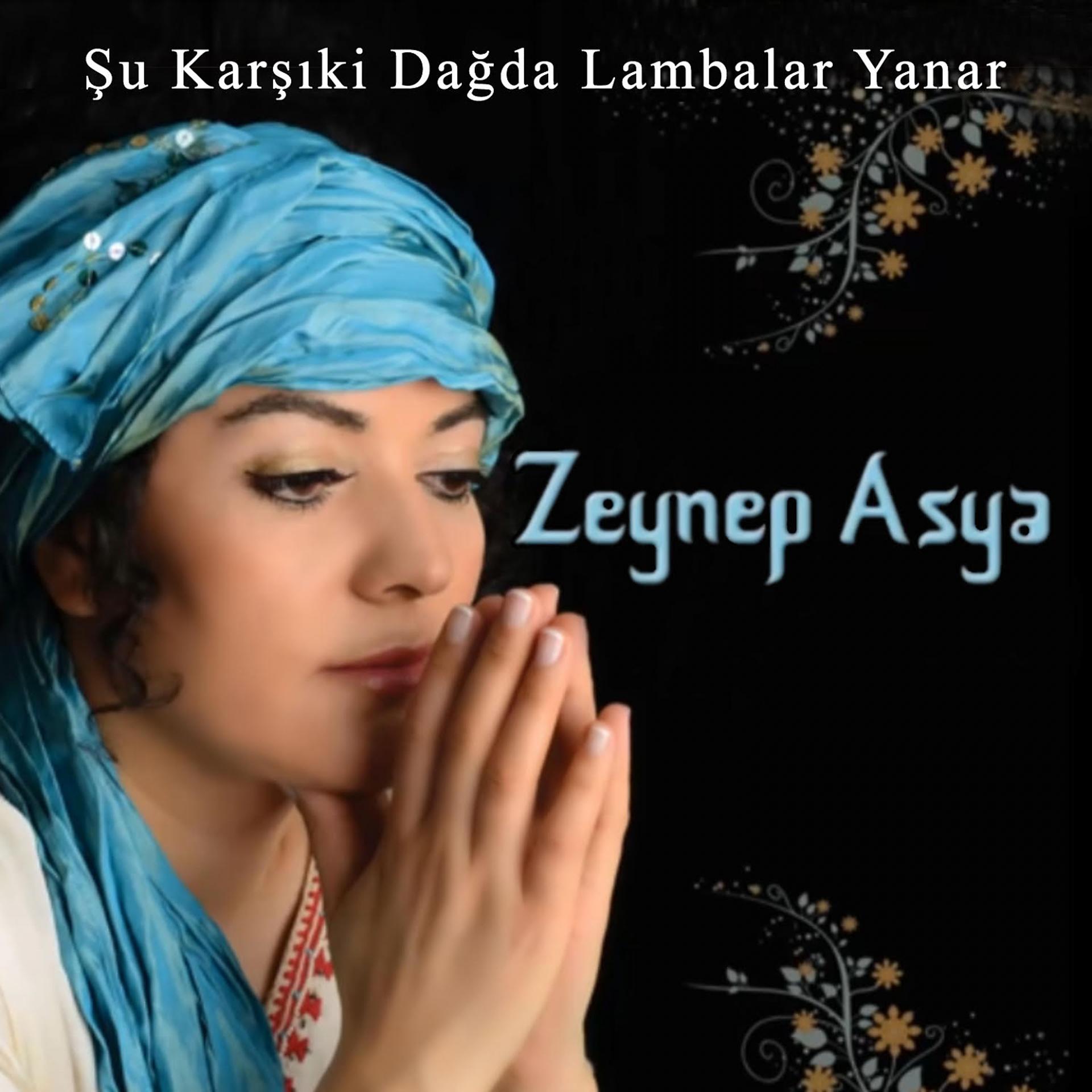 Постер альбома Şu Karşıki Dağda Lambalar Yanar