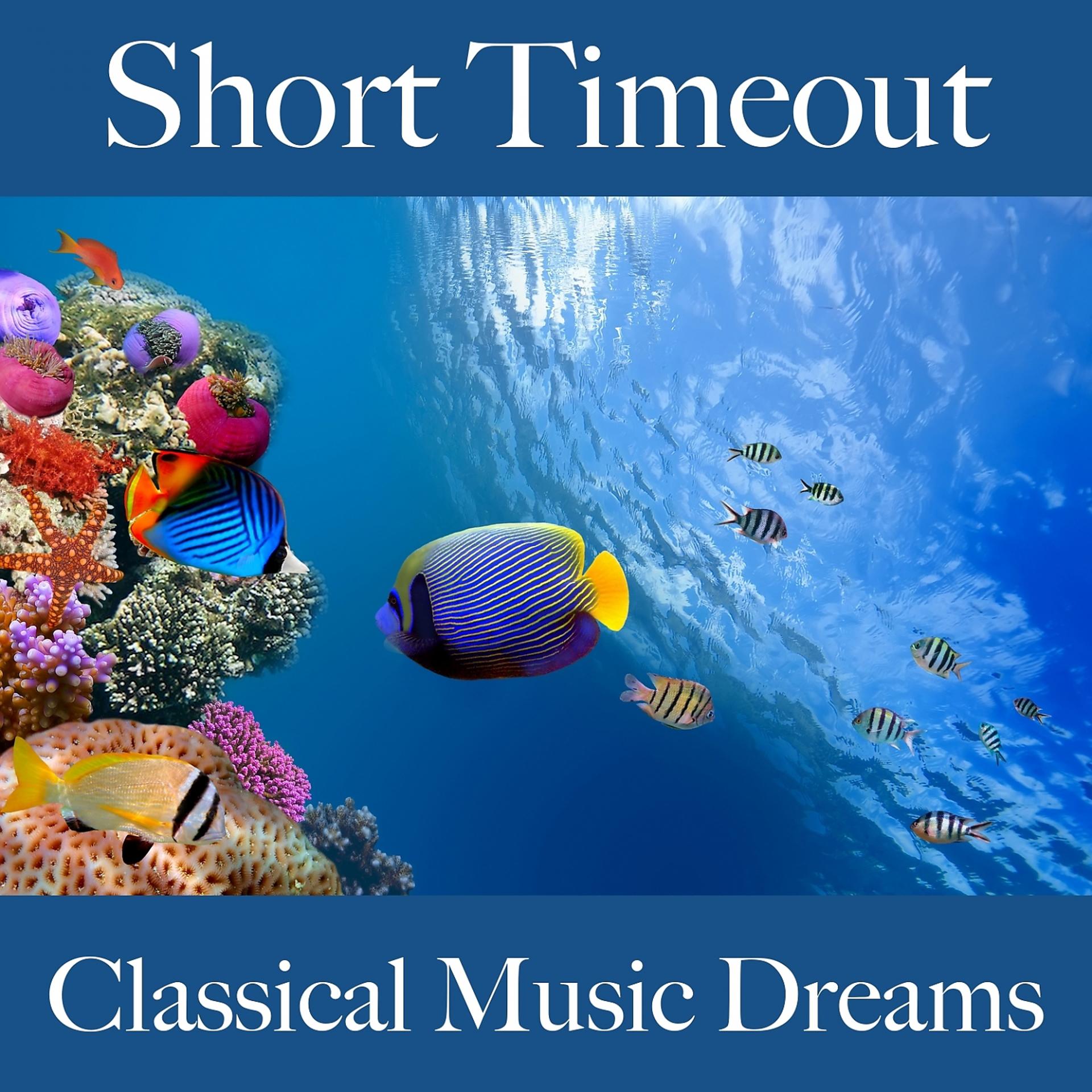 Постер альбома Short Timeout: Classical Music Dreams - The Best Music For Relaxation