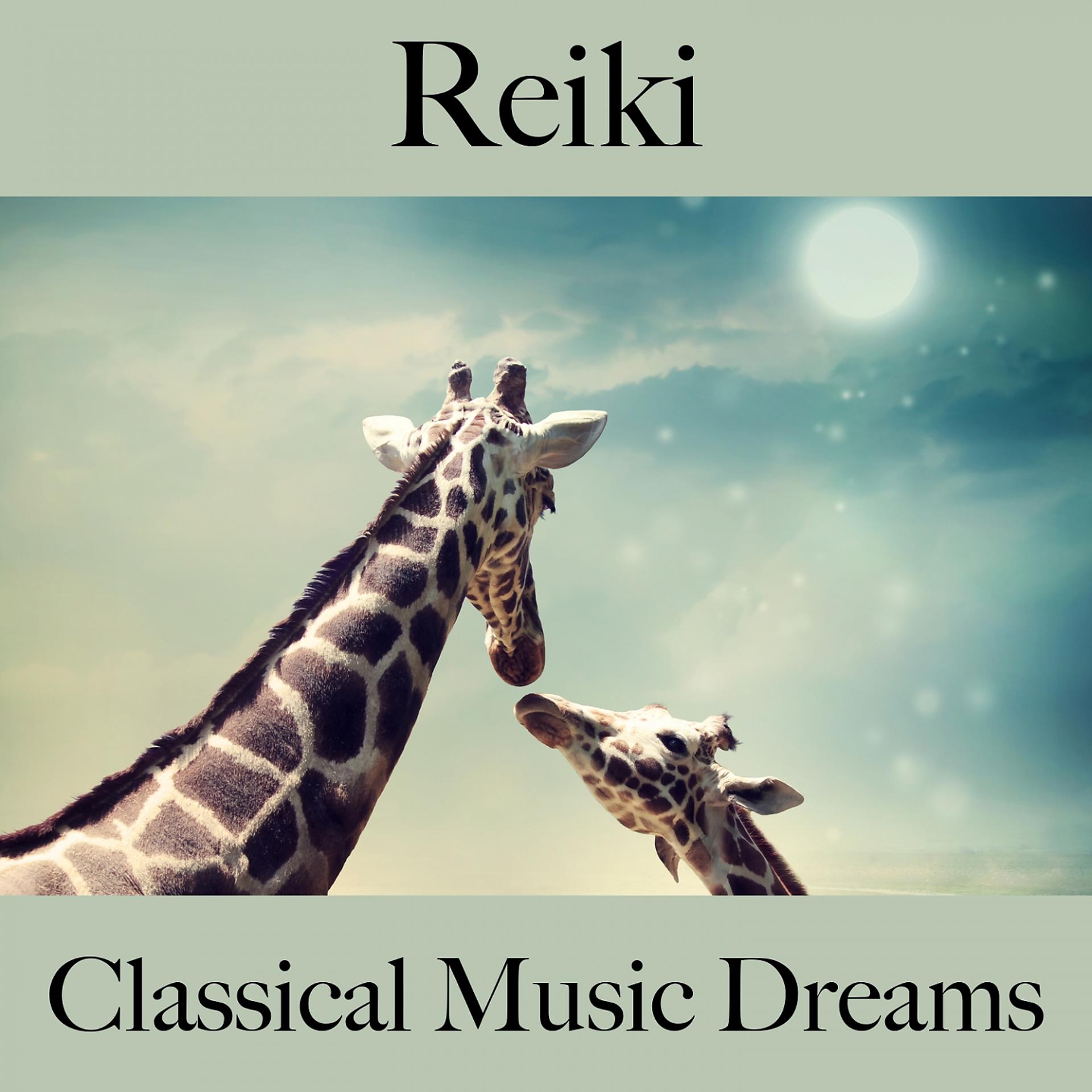 Постер альбома Reiki: Classical Music Dreams - A Melhor Música Para Relaxar