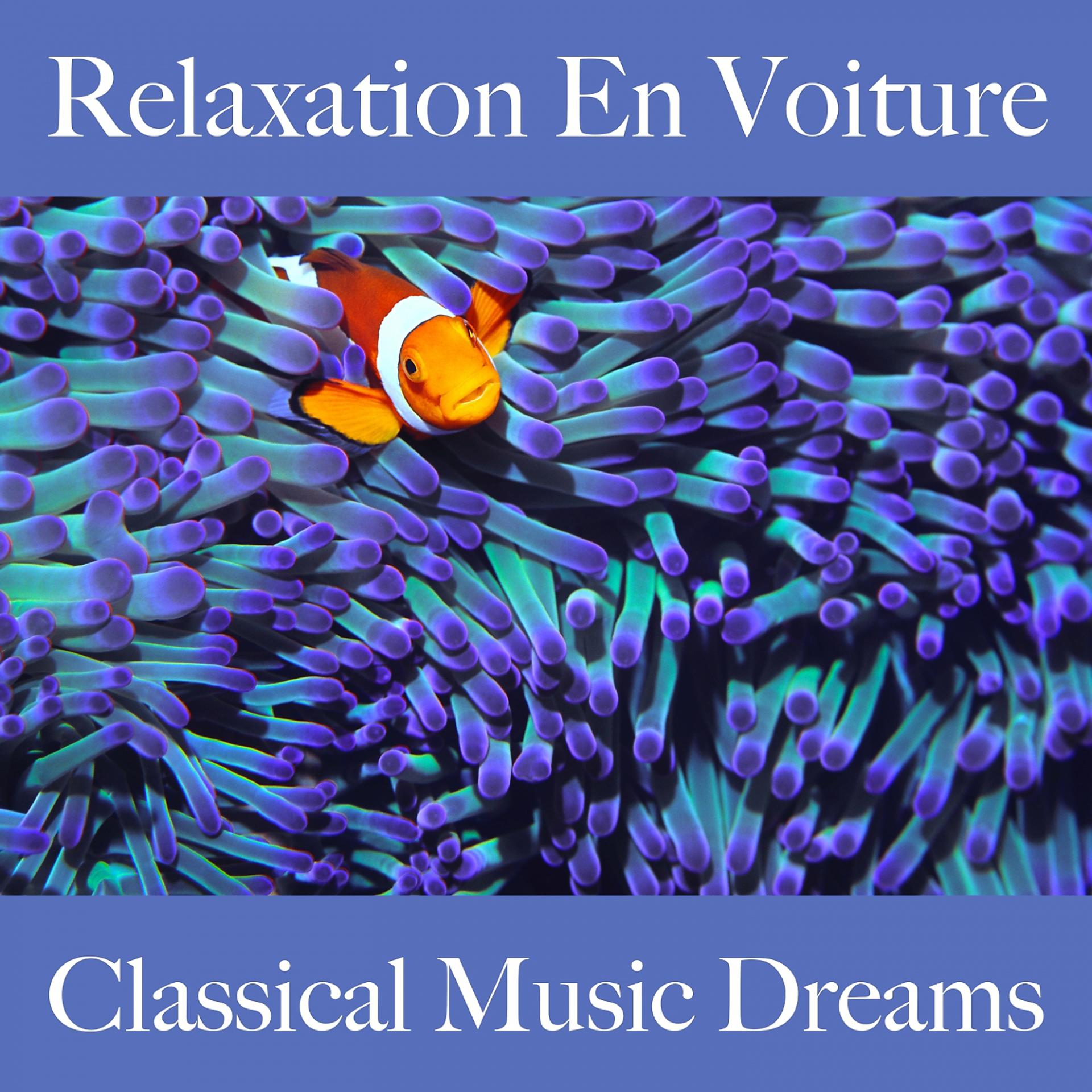 Постер альбома Relaxation En Voiture: Classical Music Dreams - La Meilleure Musique Pour Se Détendre