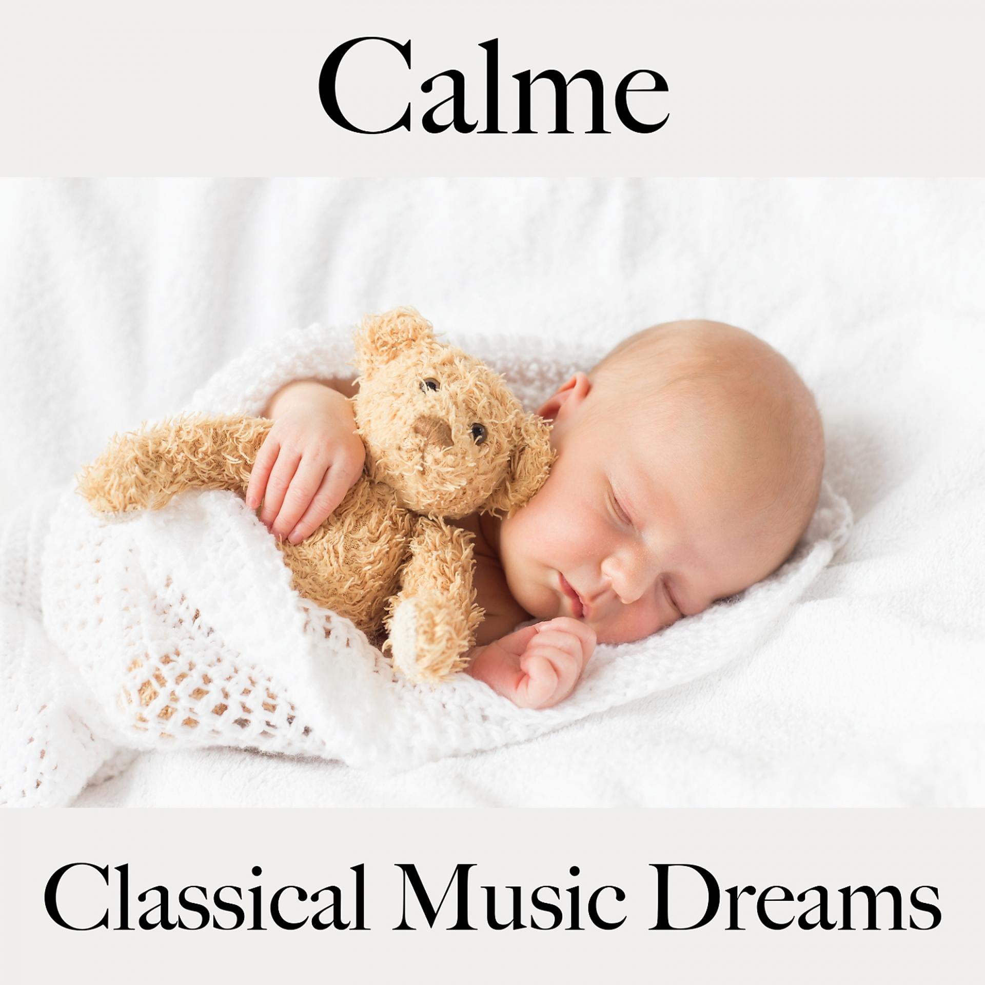 Постер альбома Calme: Classical Music Dreams - La Meilleure Musique Pour Se Détendre