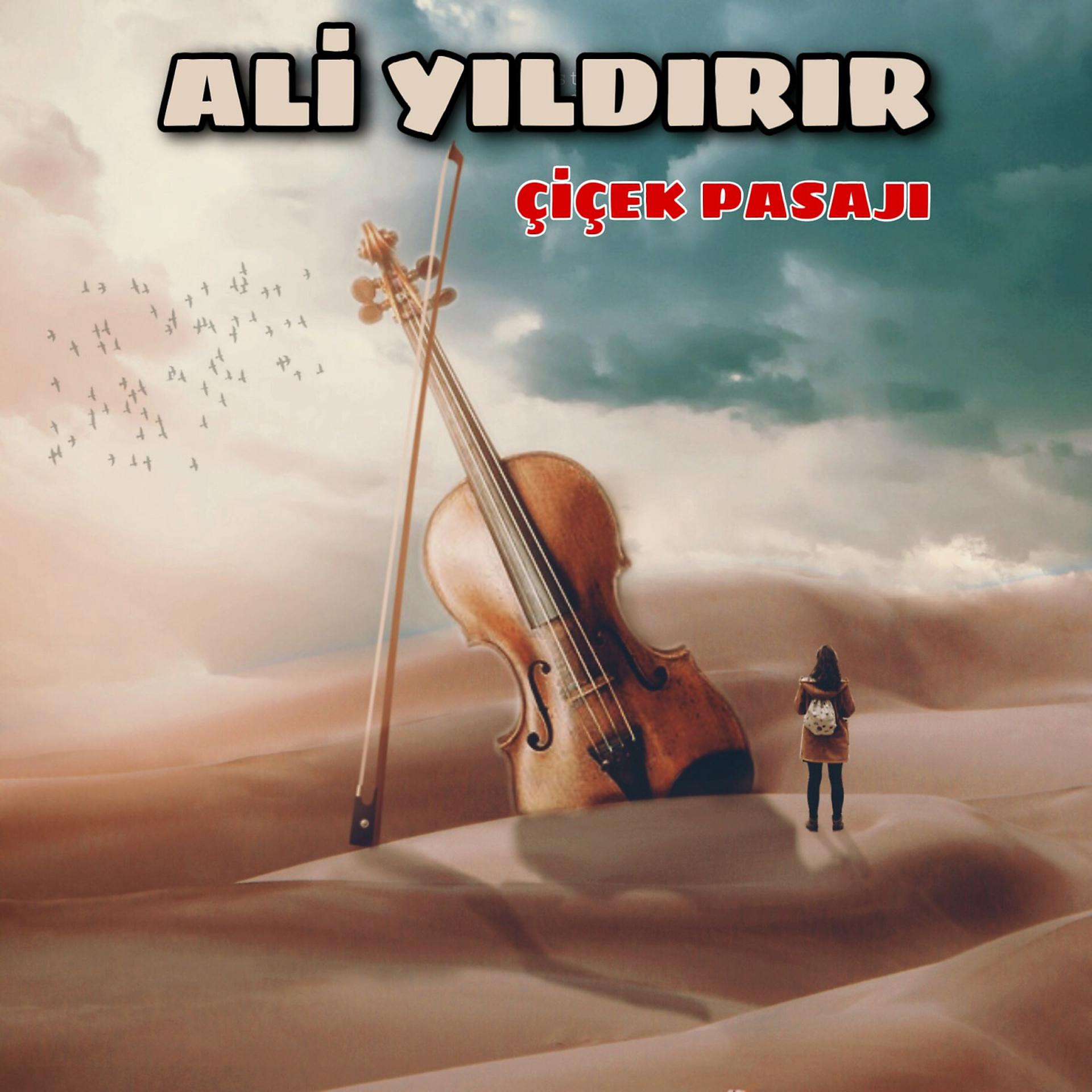 Постер альбома Çiçek Pasajı