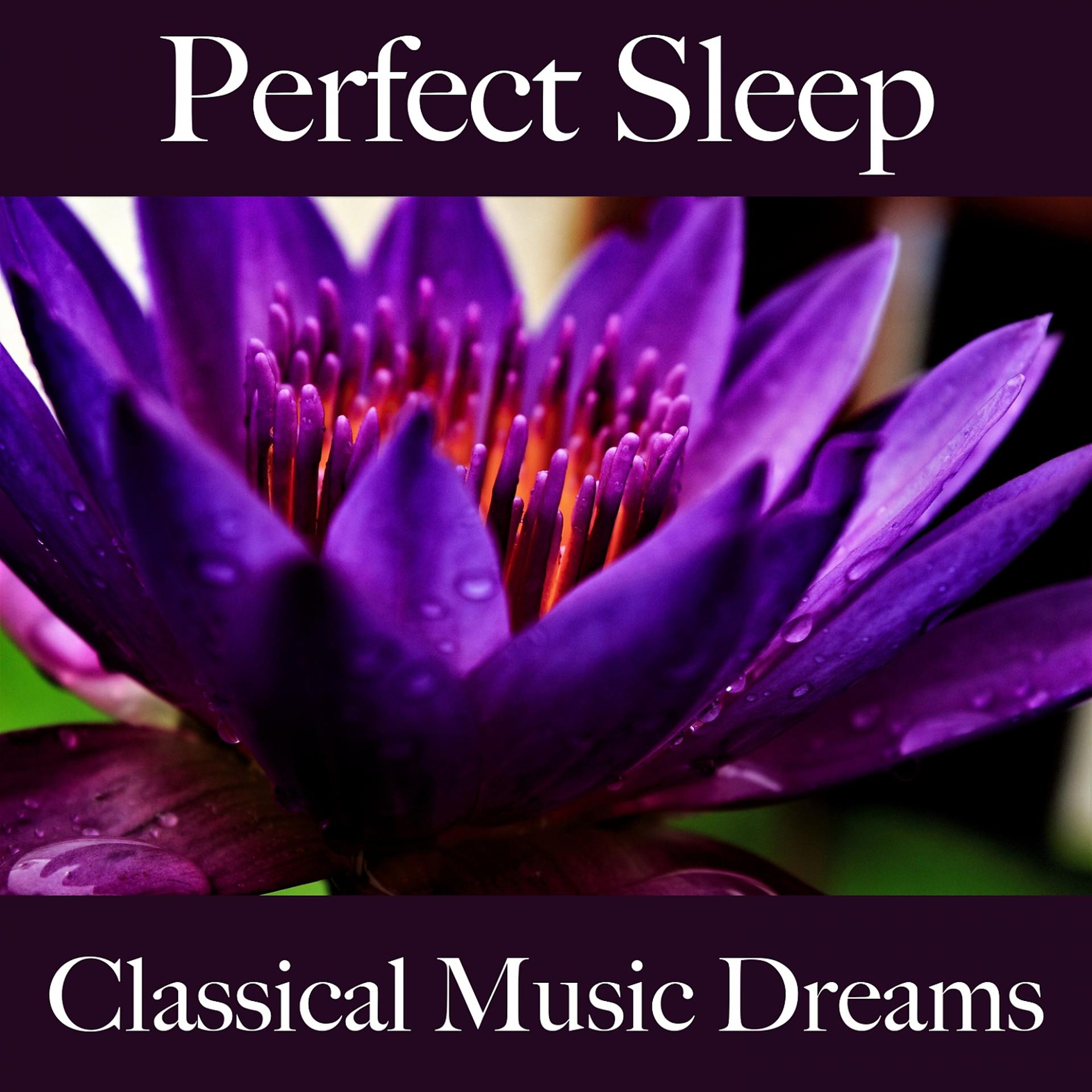 Постер альбома Perfect Sleep: Classical Music Dreams - The Best Music For Relaxation