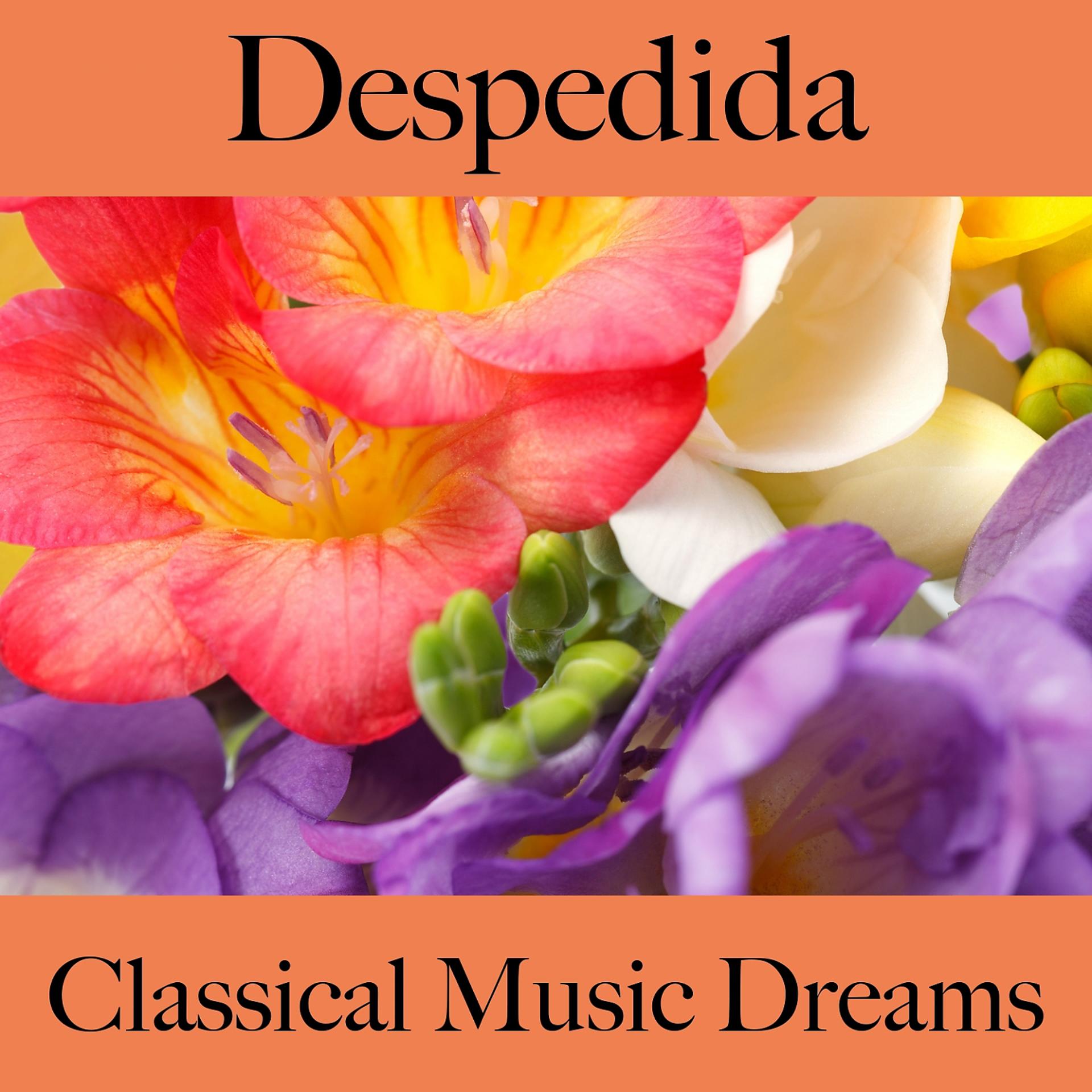 Постер альбома Despedida: Classical Music Dreams - La Mejor Música Para Sentirse Mejor