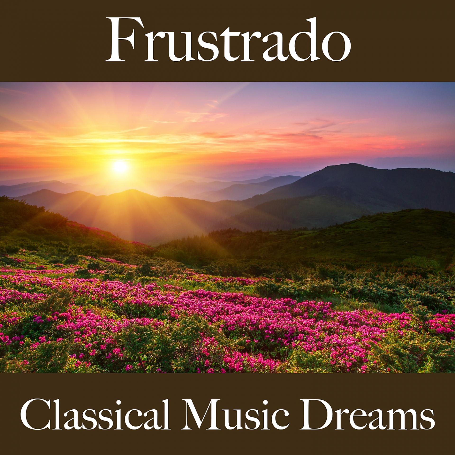 Постер альбома Frustrado: Classical Music Dreams - A Melhor Música Para Sentir-Se Melhor