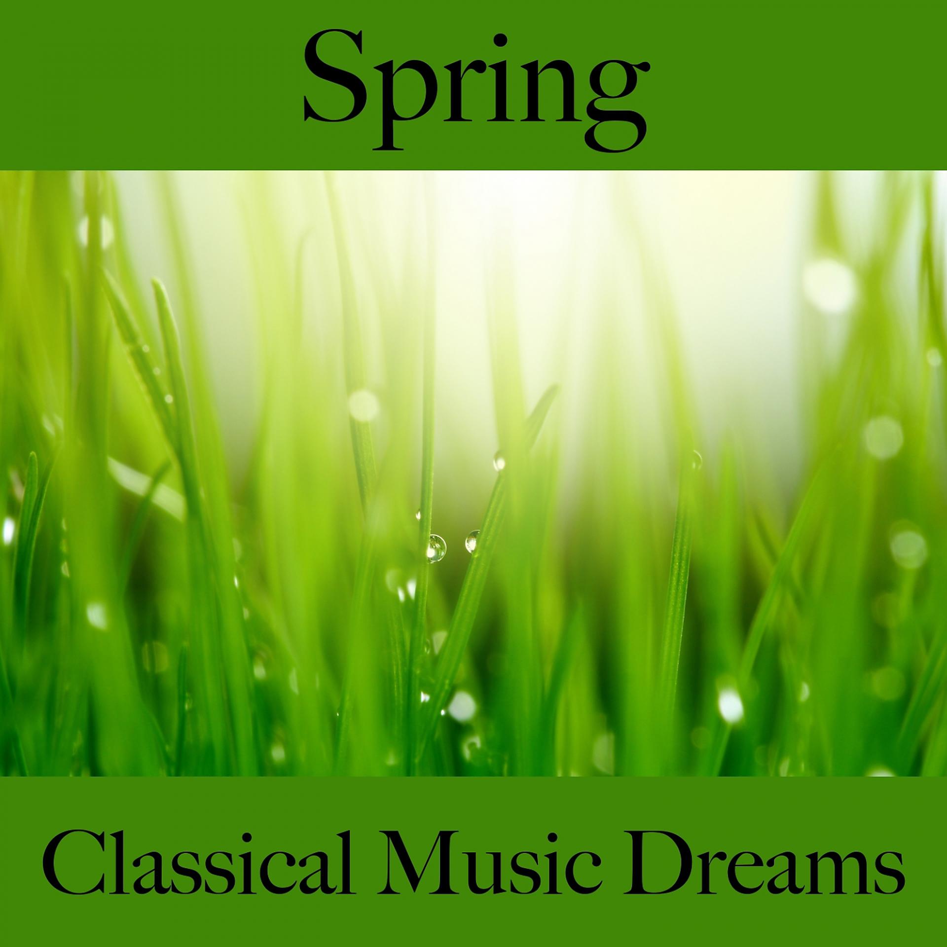 Постер альбома Spring: Classical Music Dreams - The Best Music For Relaxation