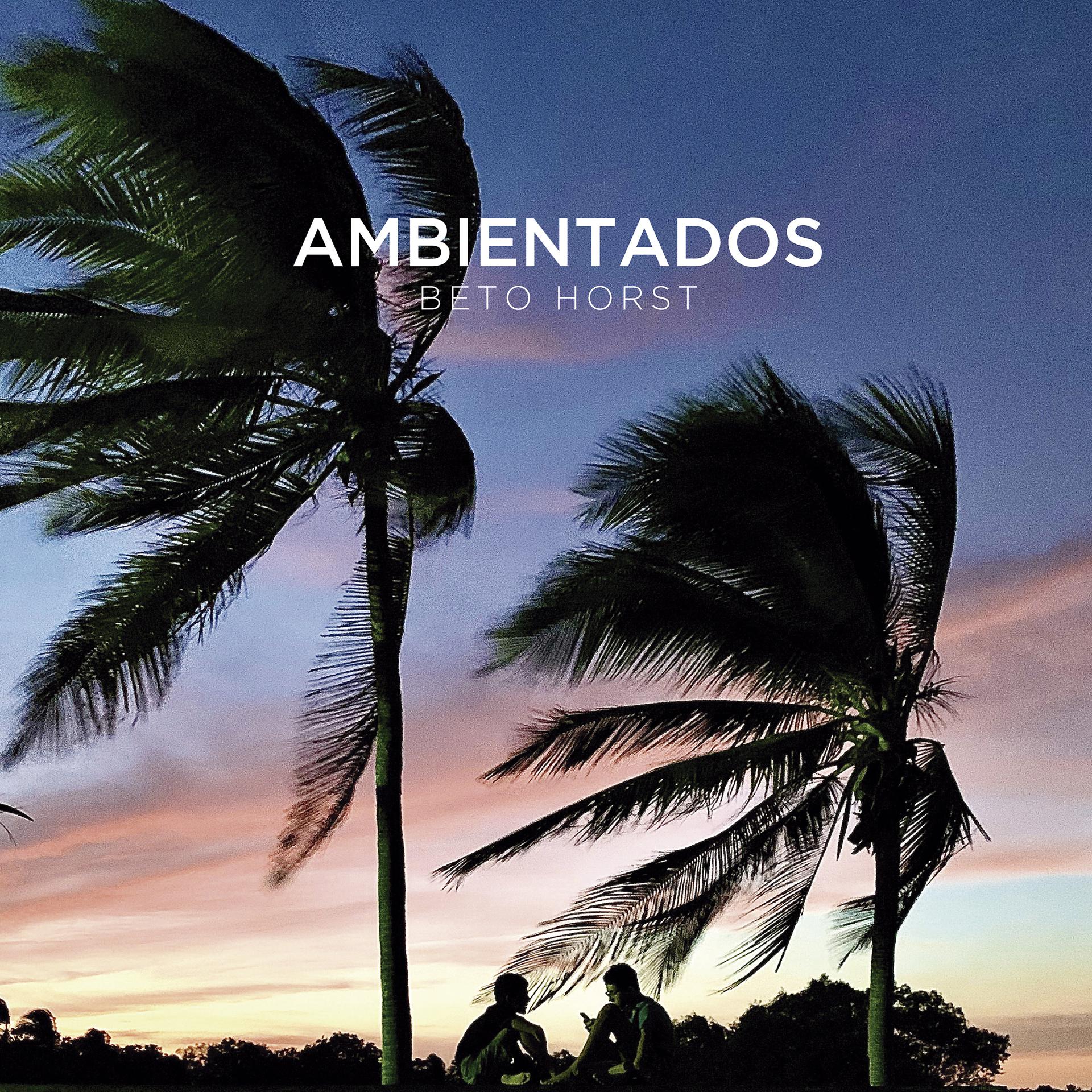 Постер альбома Ambientados