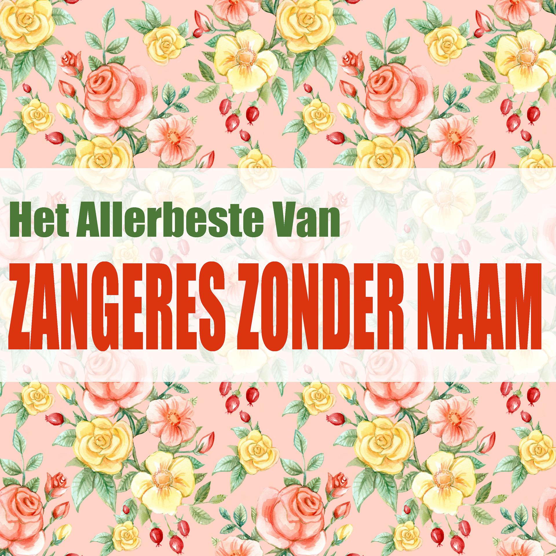 Постер альбома Het Allerbeste Van Zangeres Zonder Naam