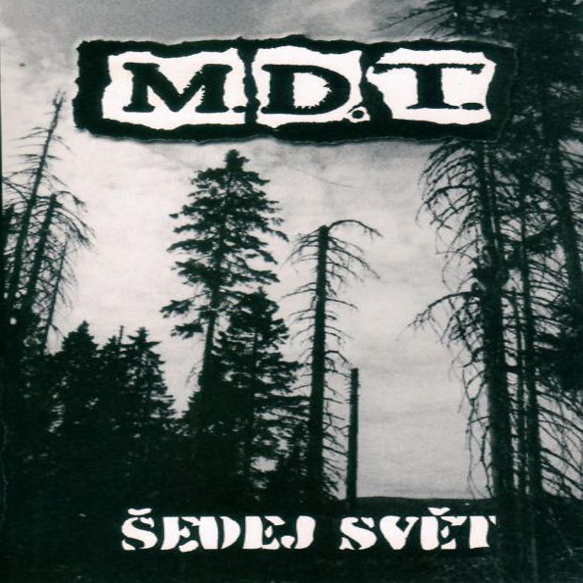 Постер альбома Šedej svět