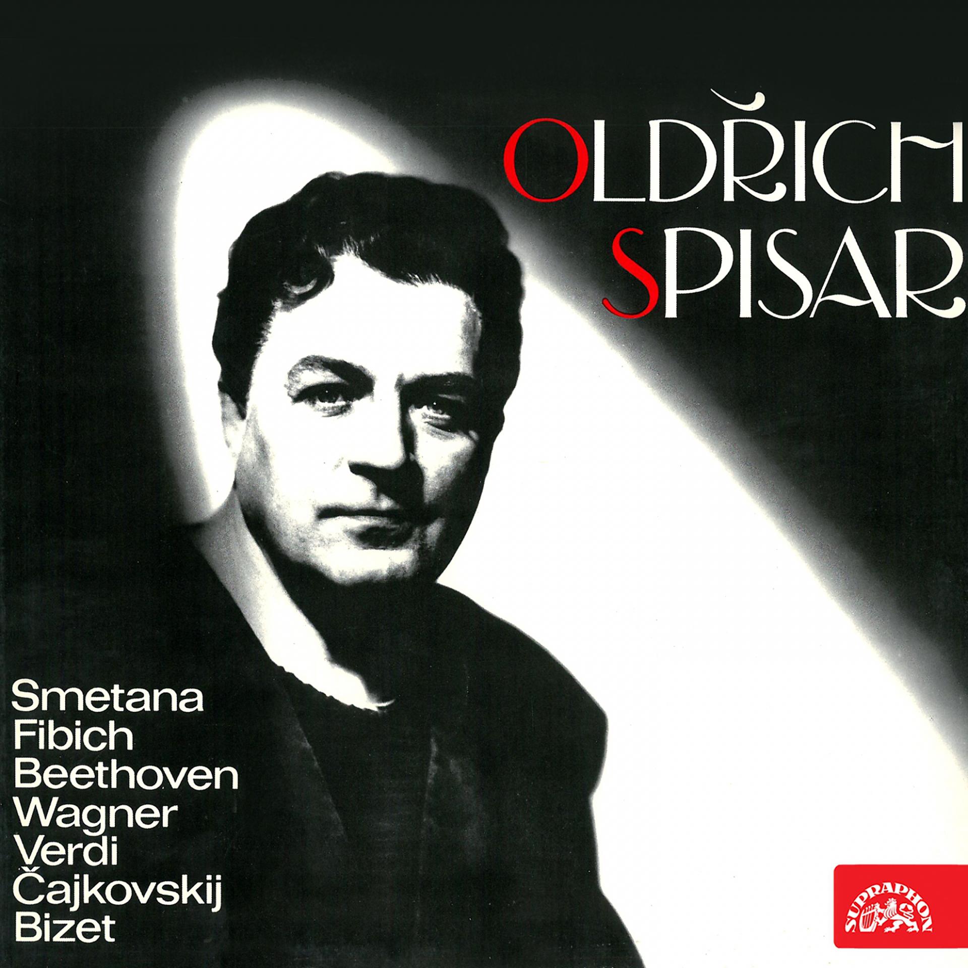 Постер альбома Smetana, Fibich, Beethoven, Wagner, Verdi, Čajkovskij, Bizet