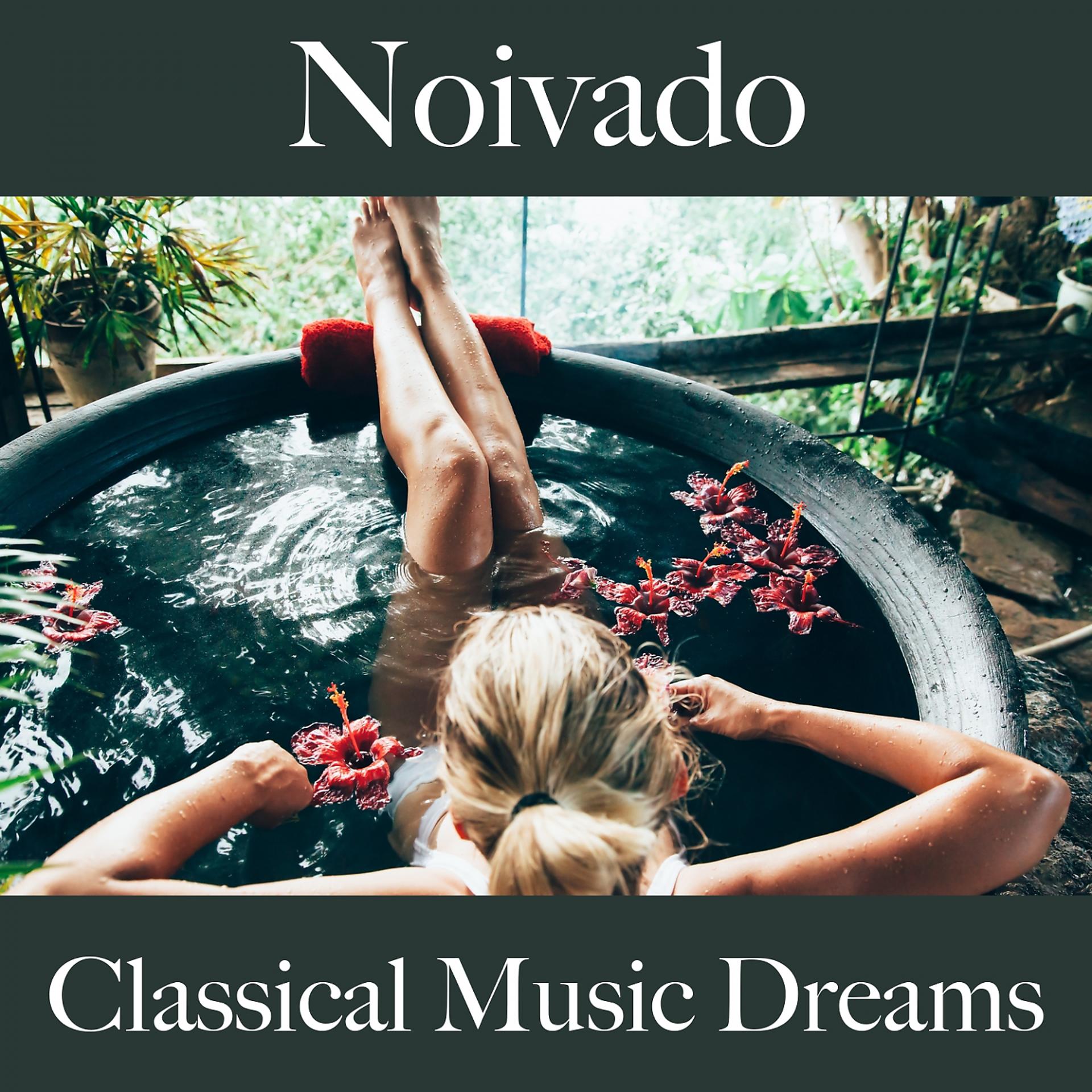 Постер альбома Noivado: Classical Music Dreams - A Melhor Música Para Momentos A Dois