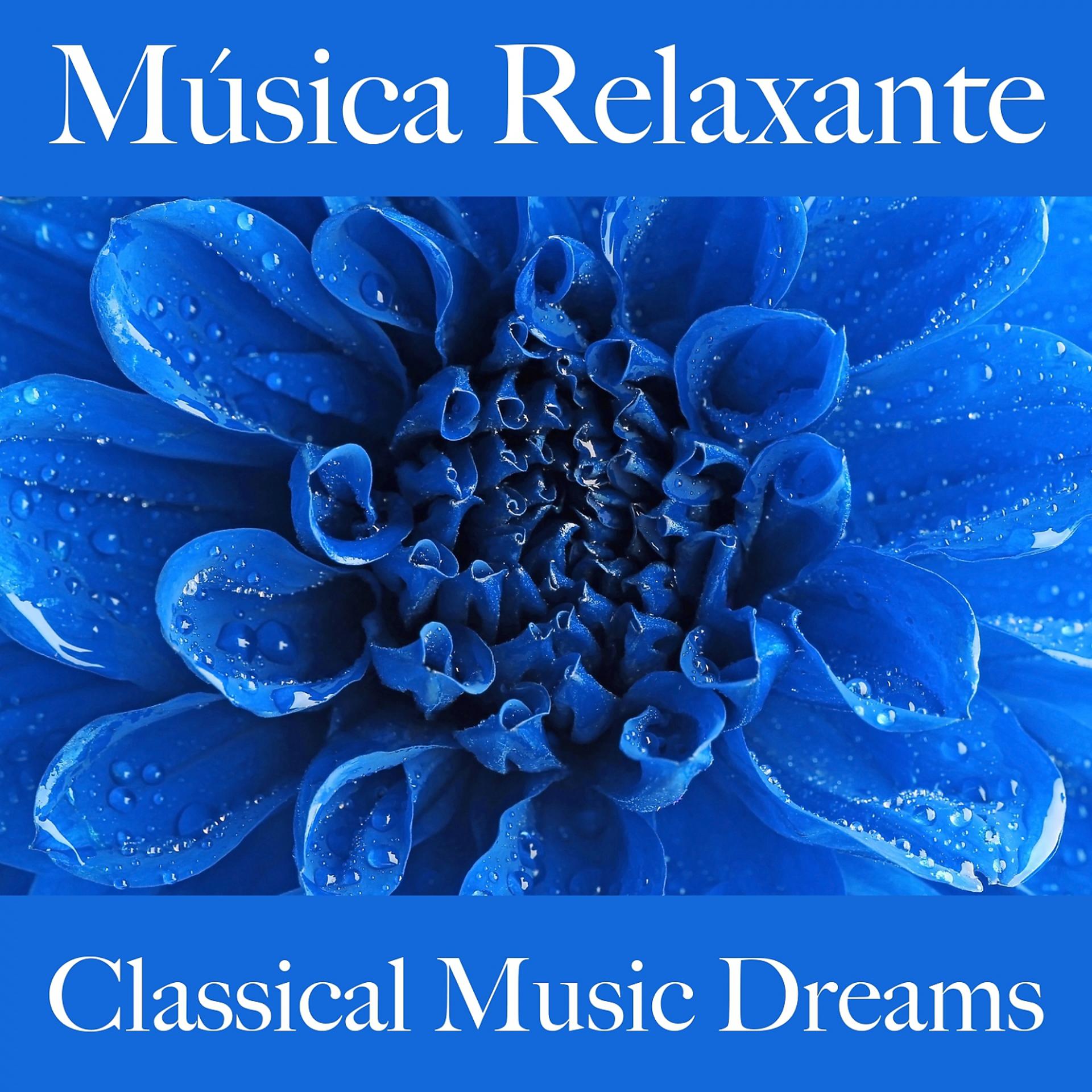 Постер альбома Música Relaxante: Classical Music Dreams - Os Melhores Sons Para Relaxar