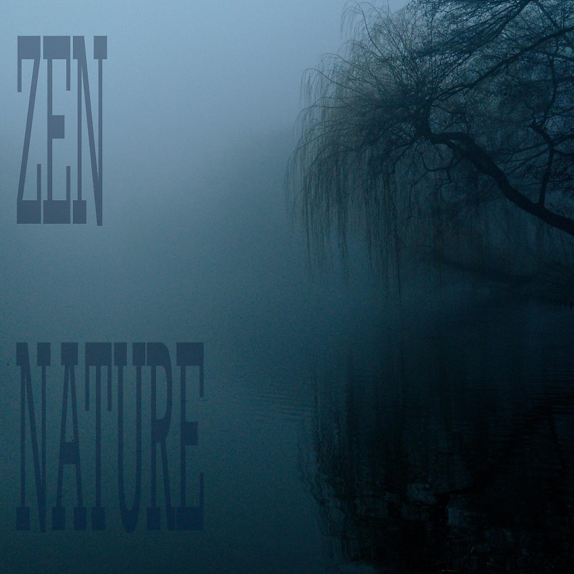 Постер альбома Zen Nature
