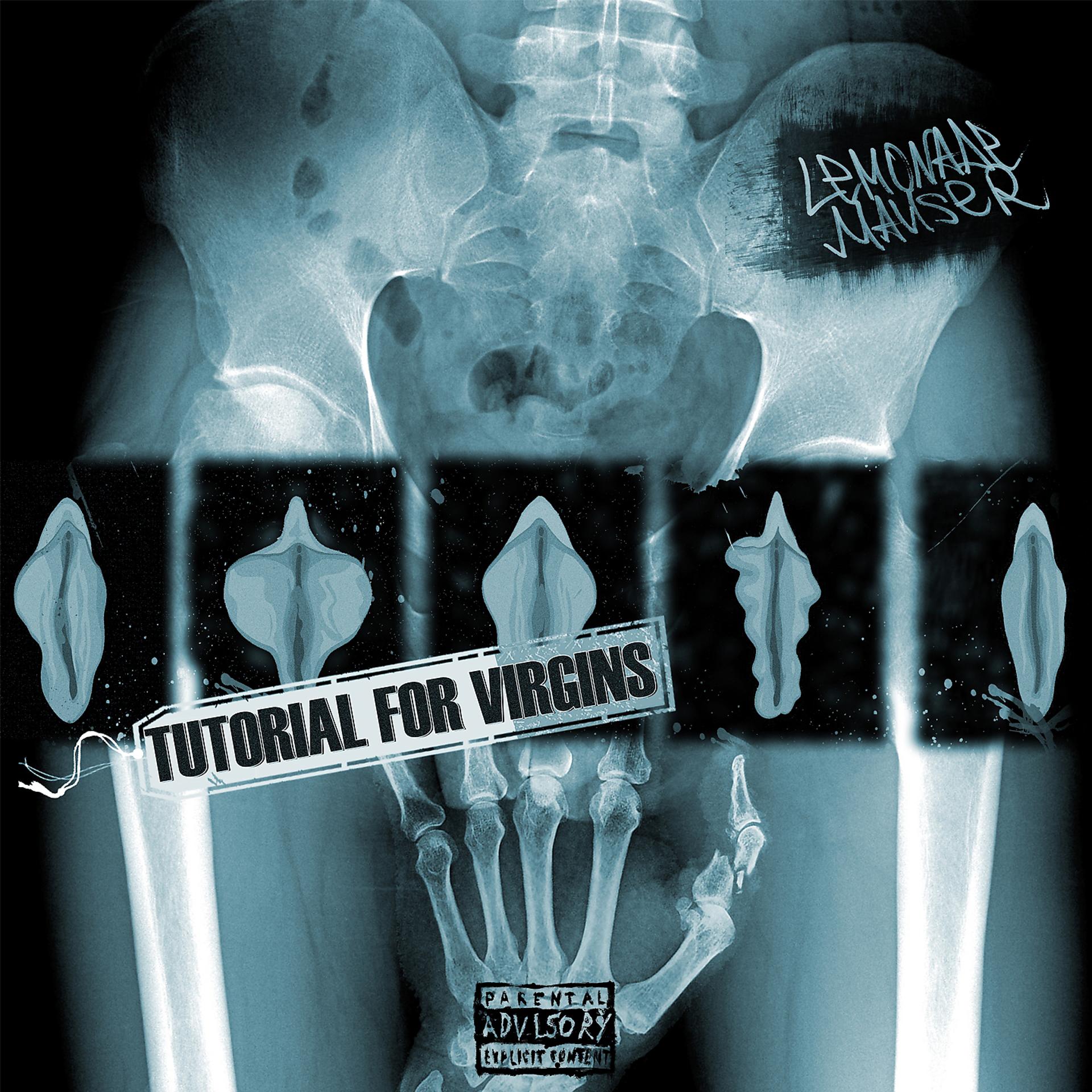 Постер альбома Tutorial for Virgins