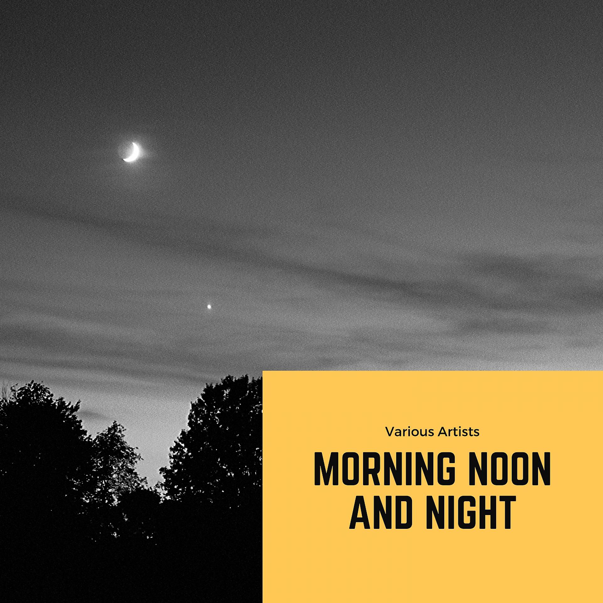 Постер альбома Morning Noon and Night