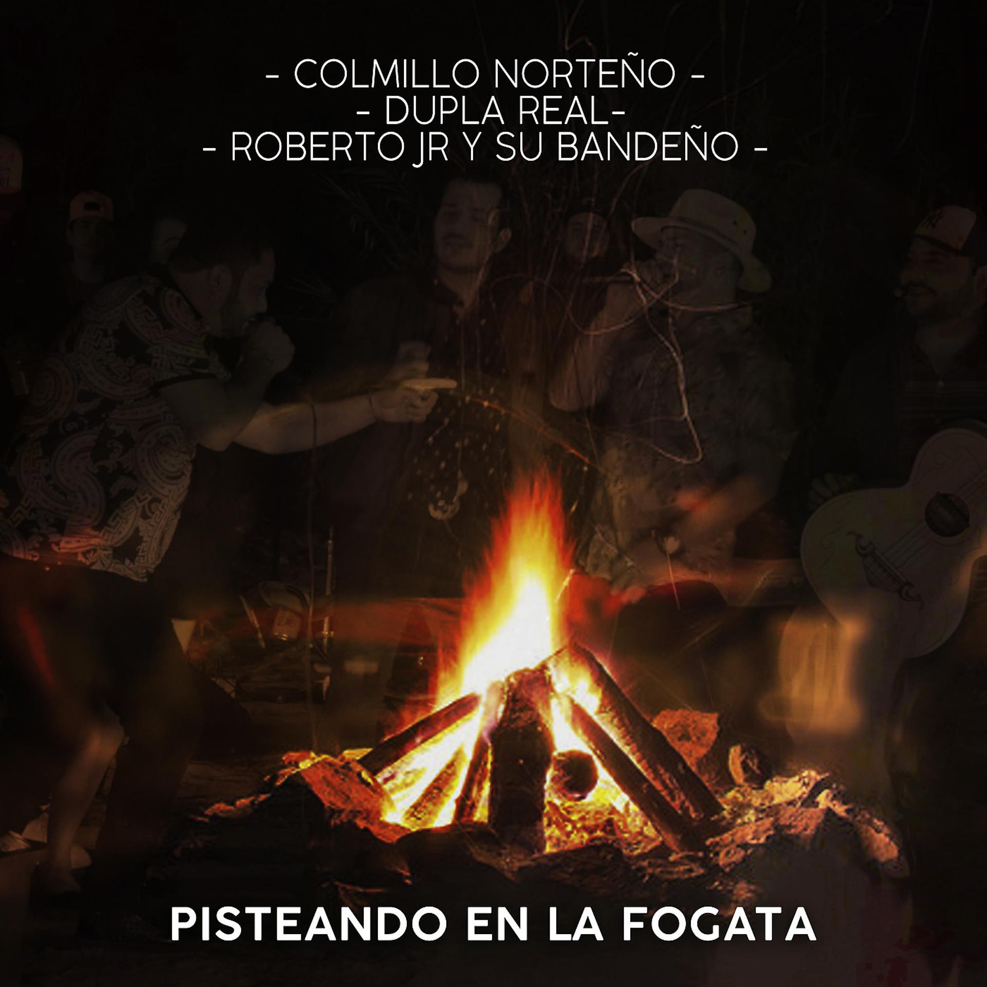 Постер альбома Pisteando En La Fogata