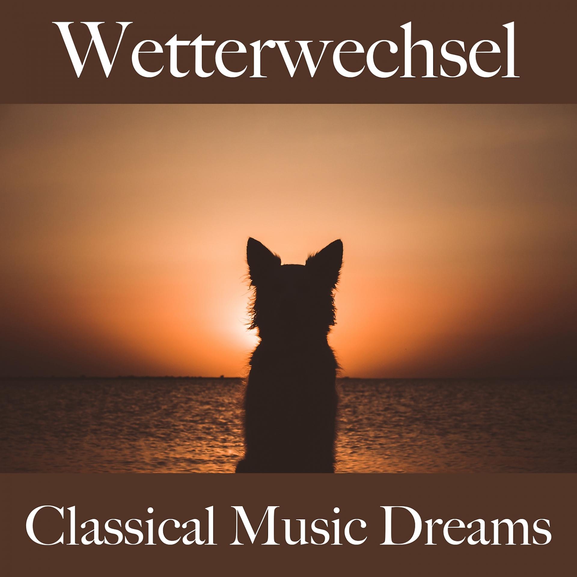 Постер альбома Wetterwechsel: Classical Music Dreams - Die Beste Musik Zum Entspannen