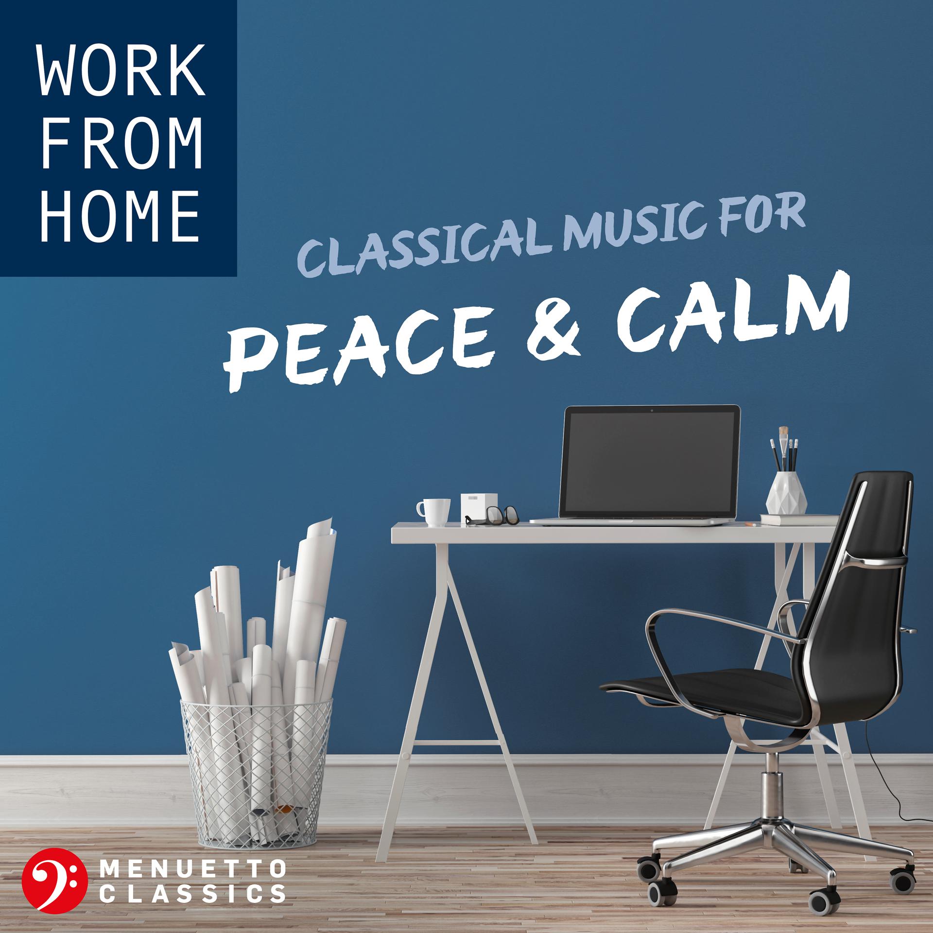 Постер альбома Work From Home: Classical Music for Peace & Calm