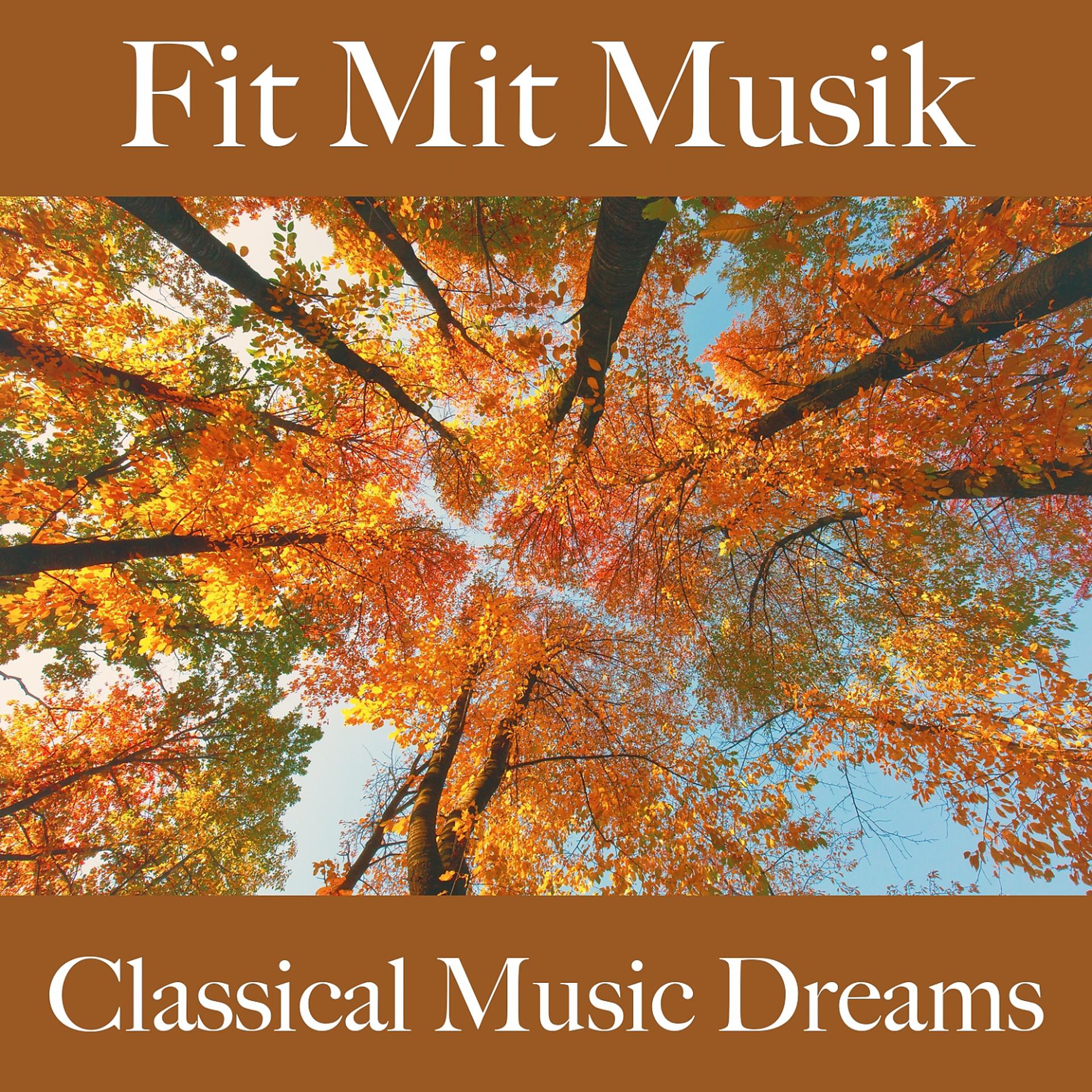 Постер альбома Fit Mit Musik: Classical Music Dreams - Die Besten Sounds Zum Workout