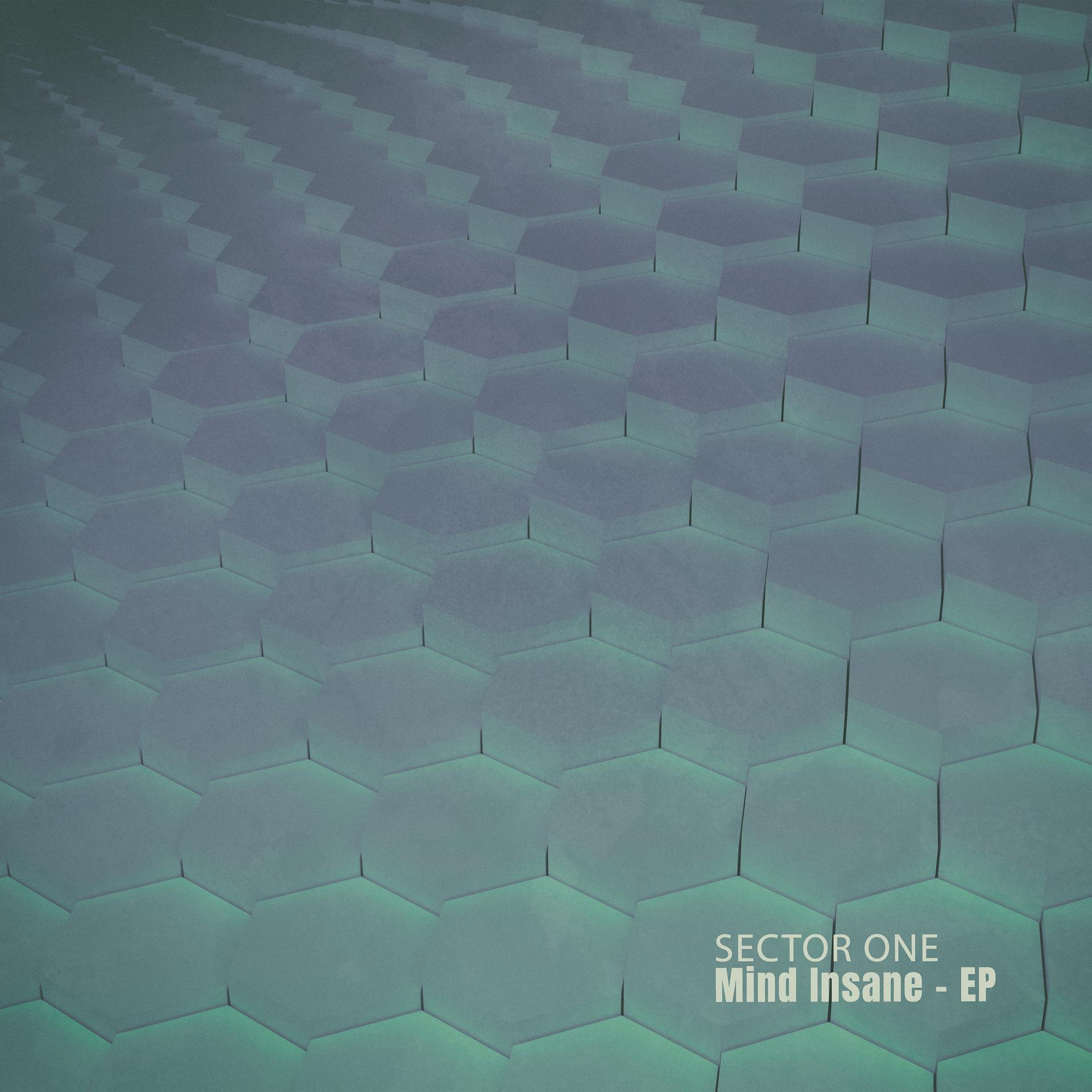 Постер альбома Mind Insane - EP