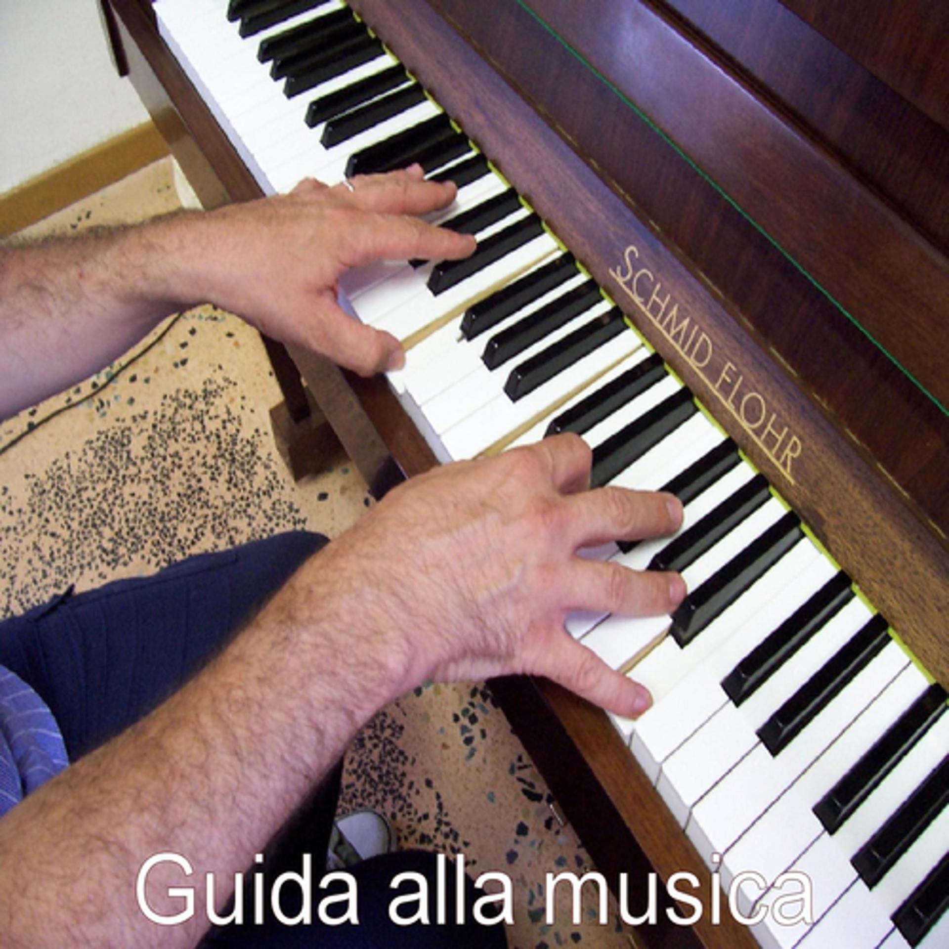 Постер альбома Guida alla musica