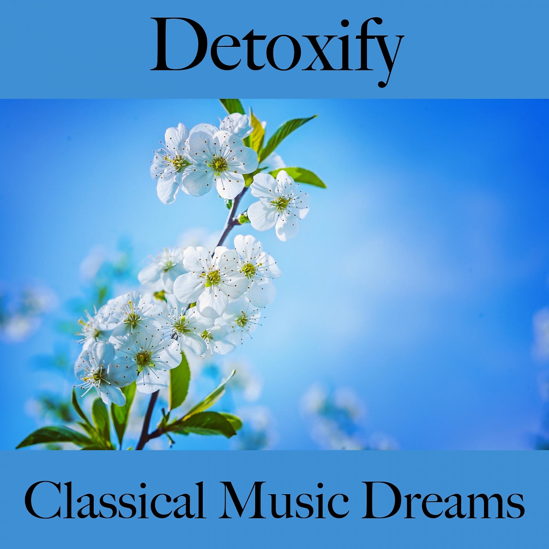Постер альбома Detoxify: Classical Music Dreams - The Best Music For Relaxation