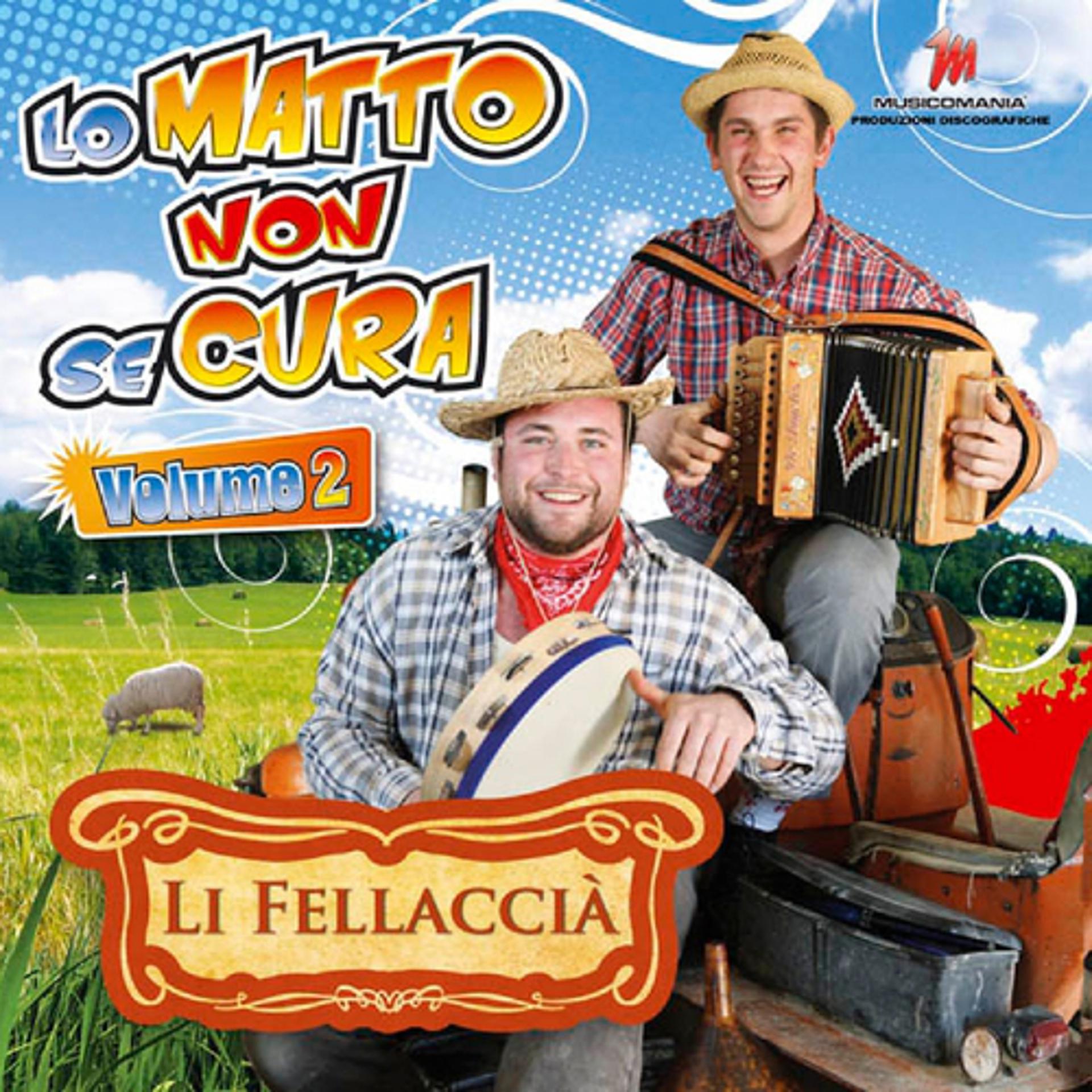 Постер альбома Lo Matto Non Se Cura