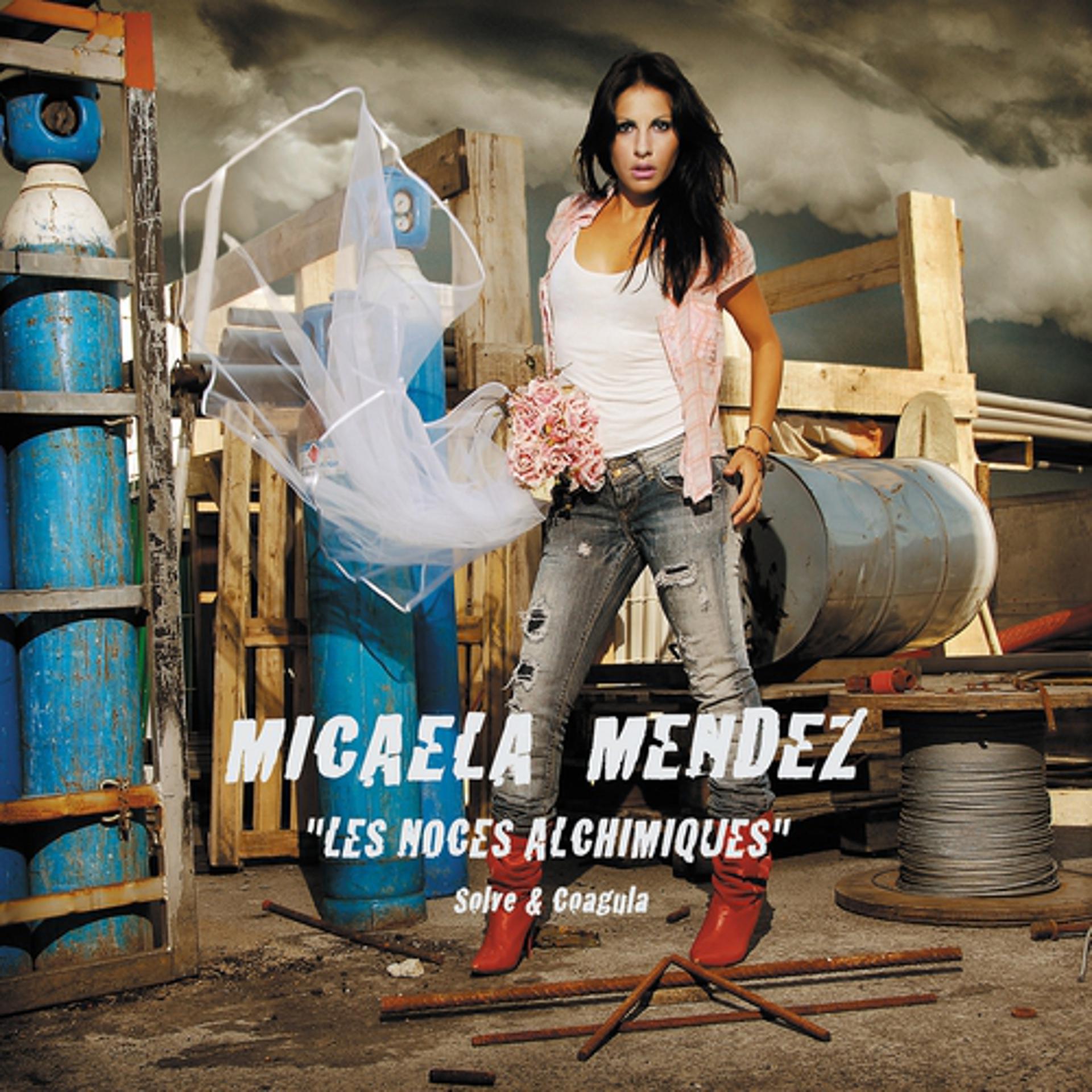 Постер альбома Les noces alchimiques