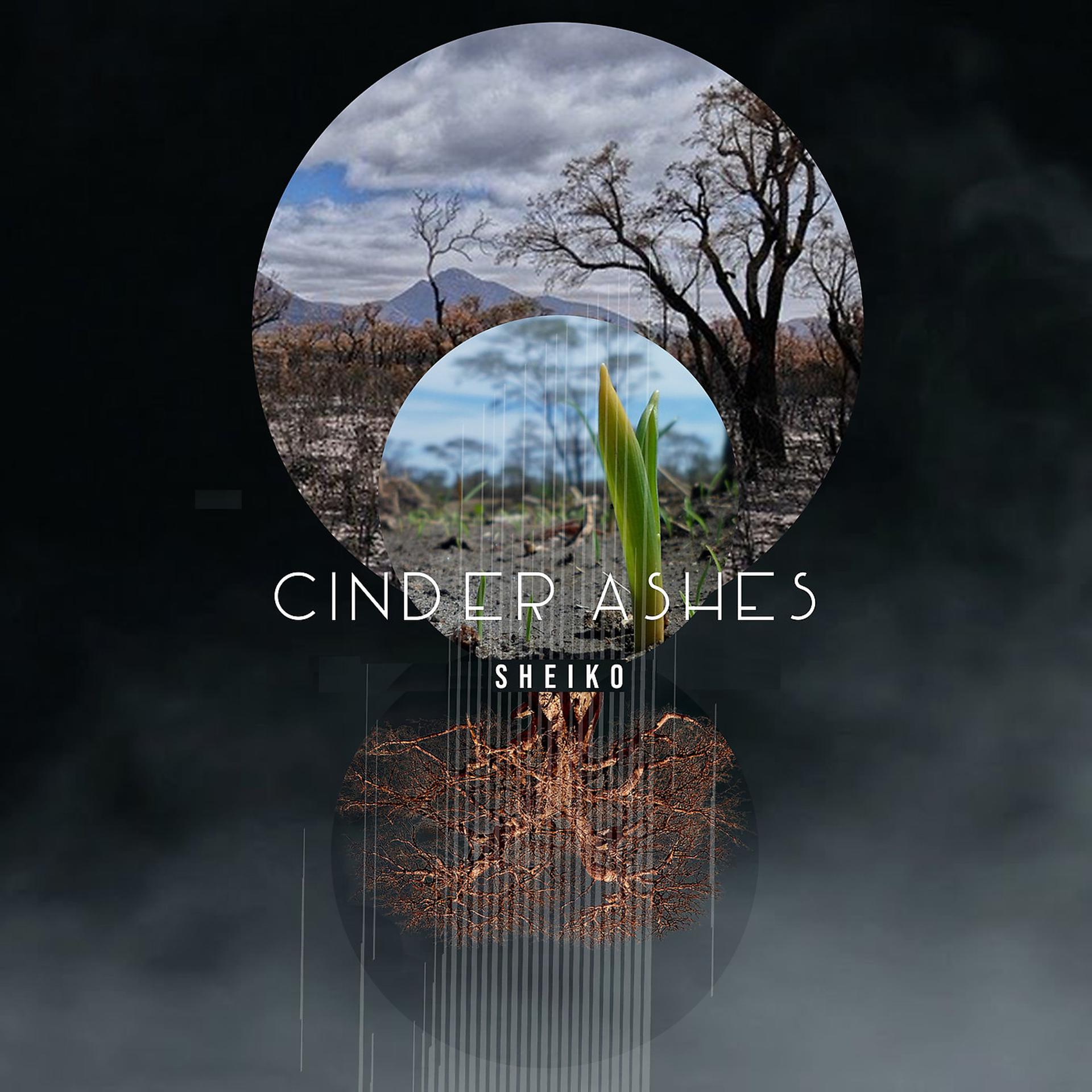 Постер альбома Cinder Ashes