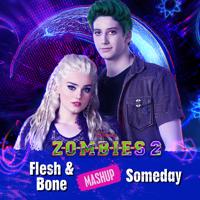 Постер альбома Flesh & Bone/Someday Mashup