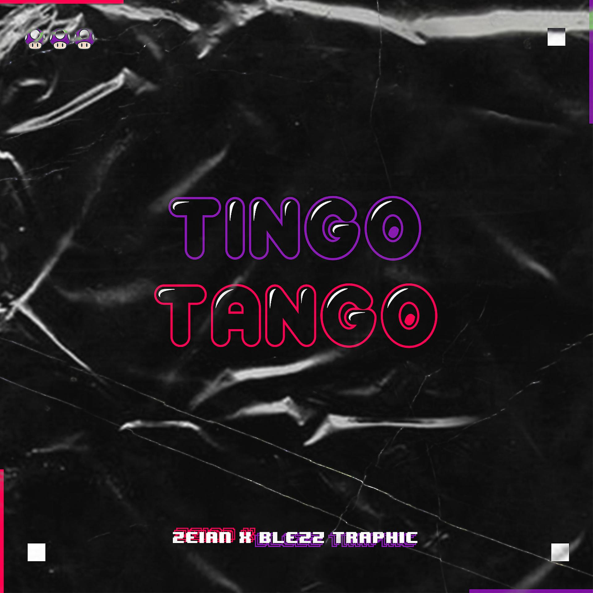 Постер альбома Tingo Tango