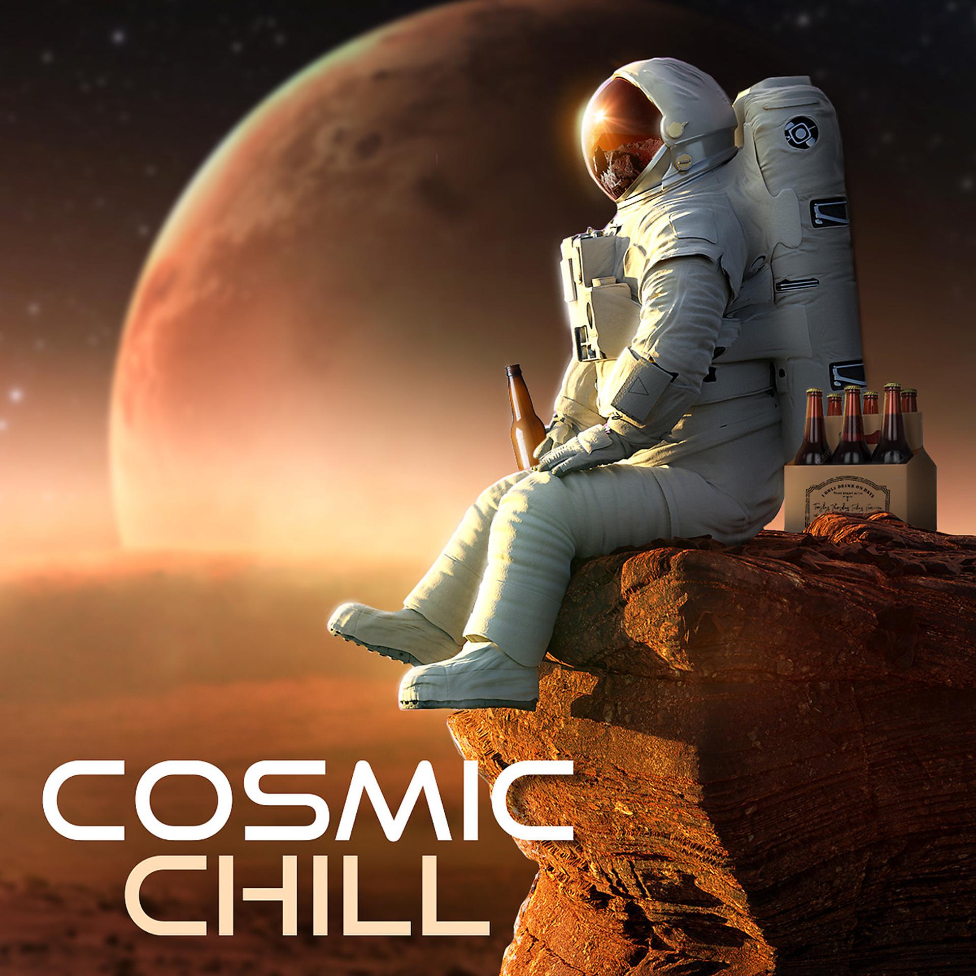Постер альбома Cosmic Chill