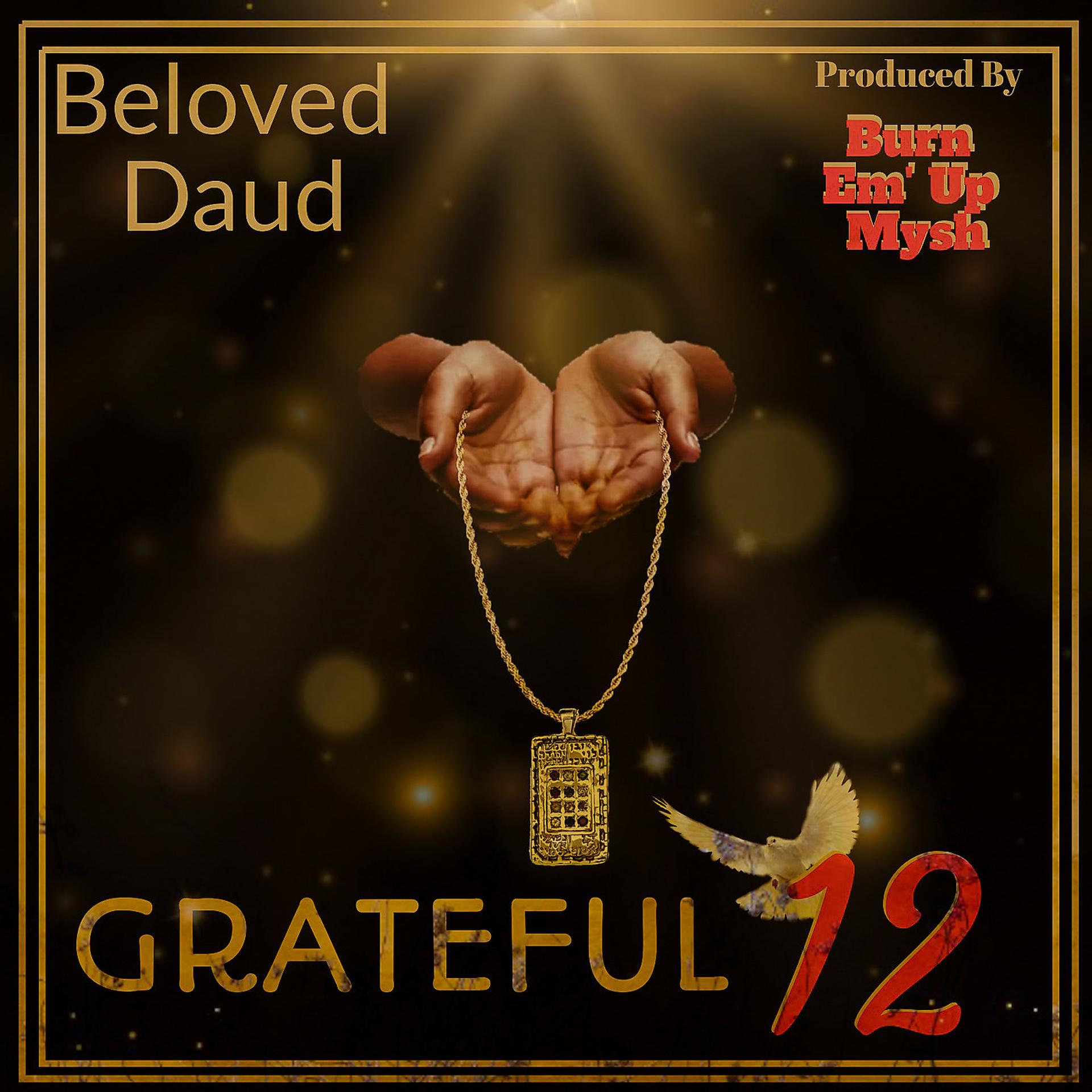 Постер альбома Grateful 12