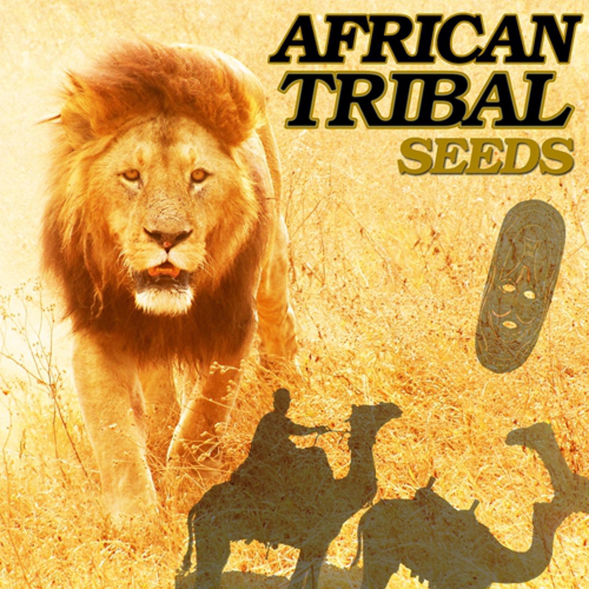 Постер альбома African Tribal Seeds