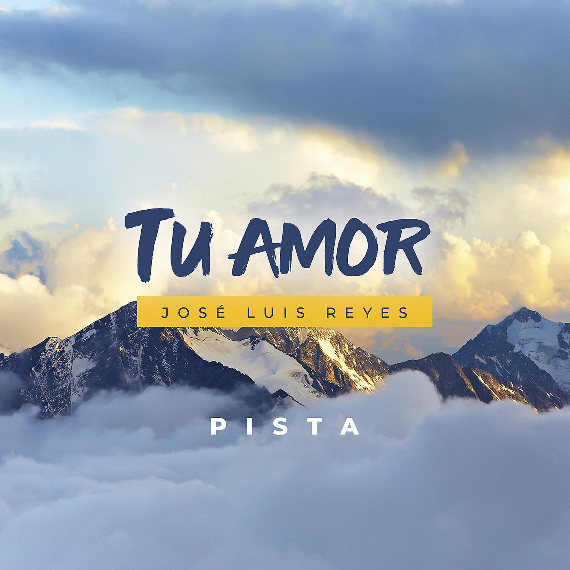 Постер альбома Tu Amor Pista