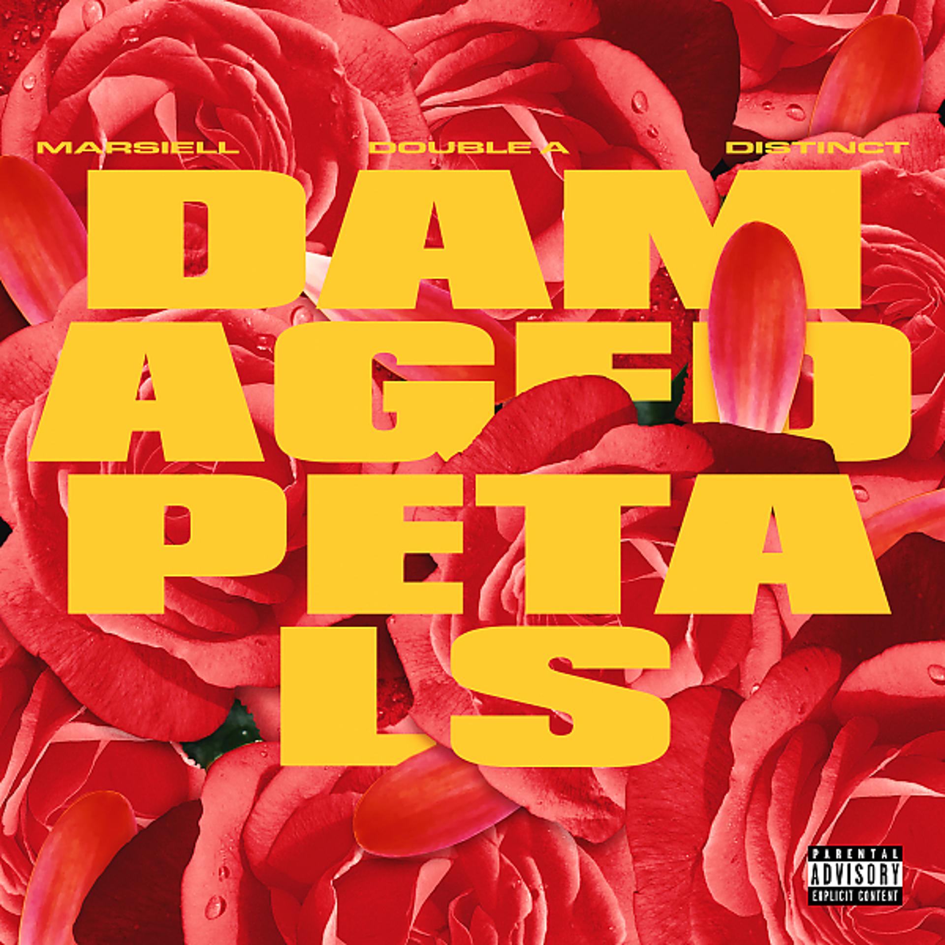 Постер альбома Damaged Petals (feat. Distinct & Double A)