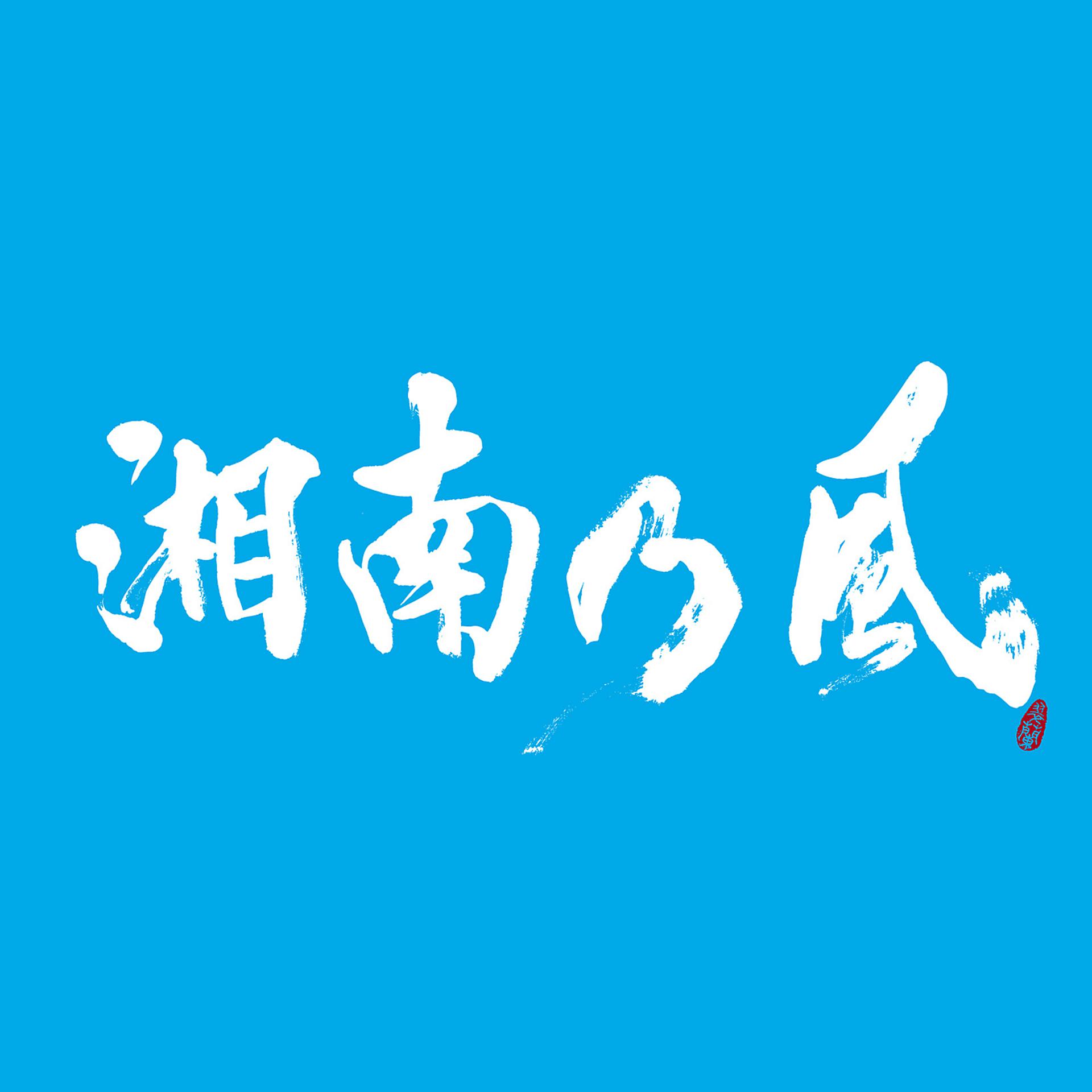 Постер альбома Shounanno Kaze -Riders High-