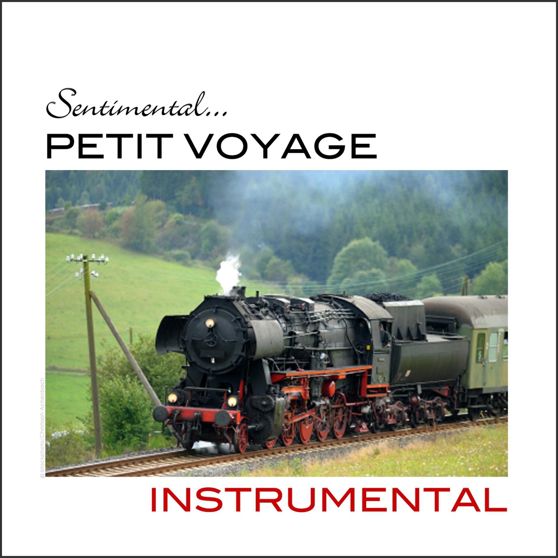Постер альбома Sentimental... Petit voyage instrumental