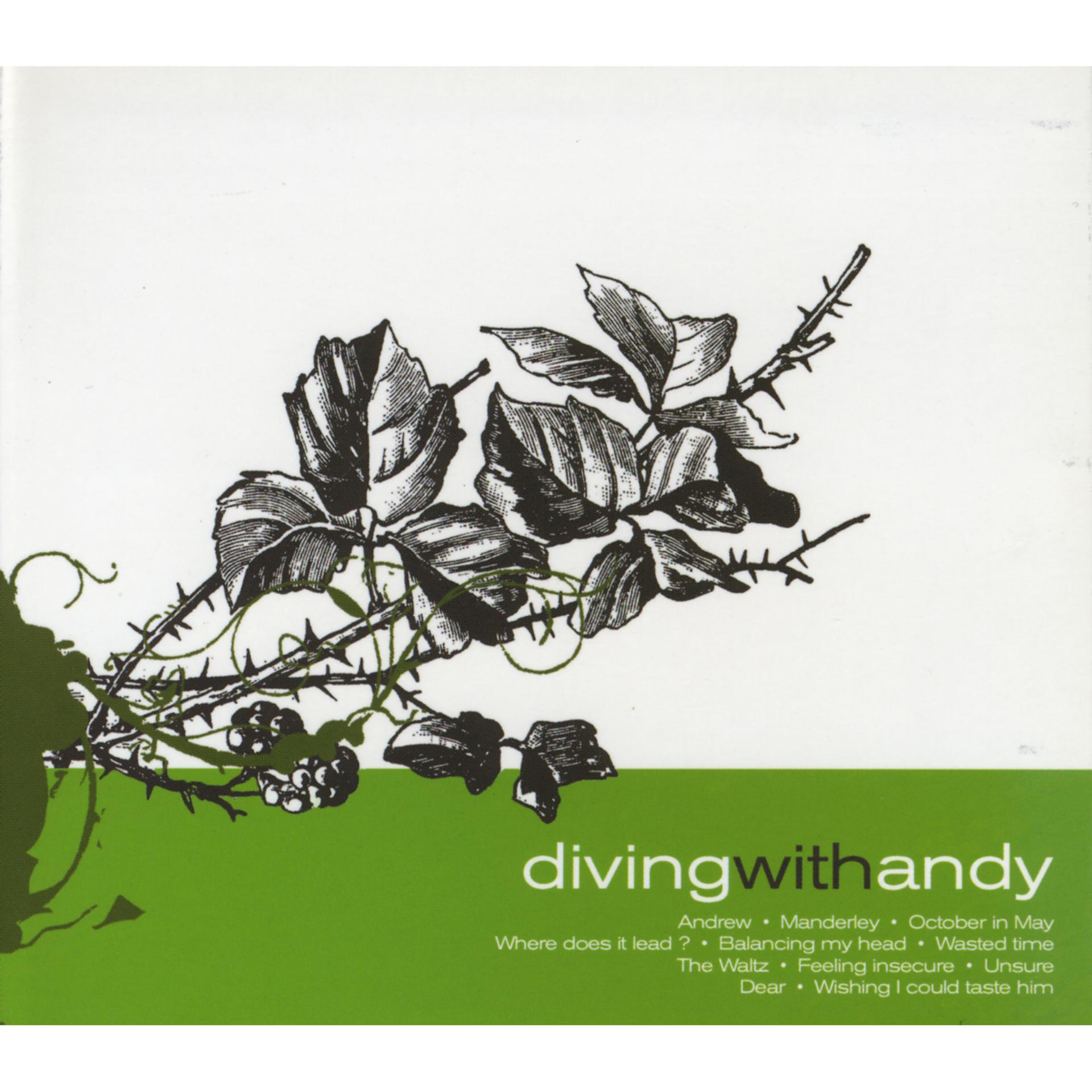 Постер альбома Diving With Andy (Bonus Track Version)