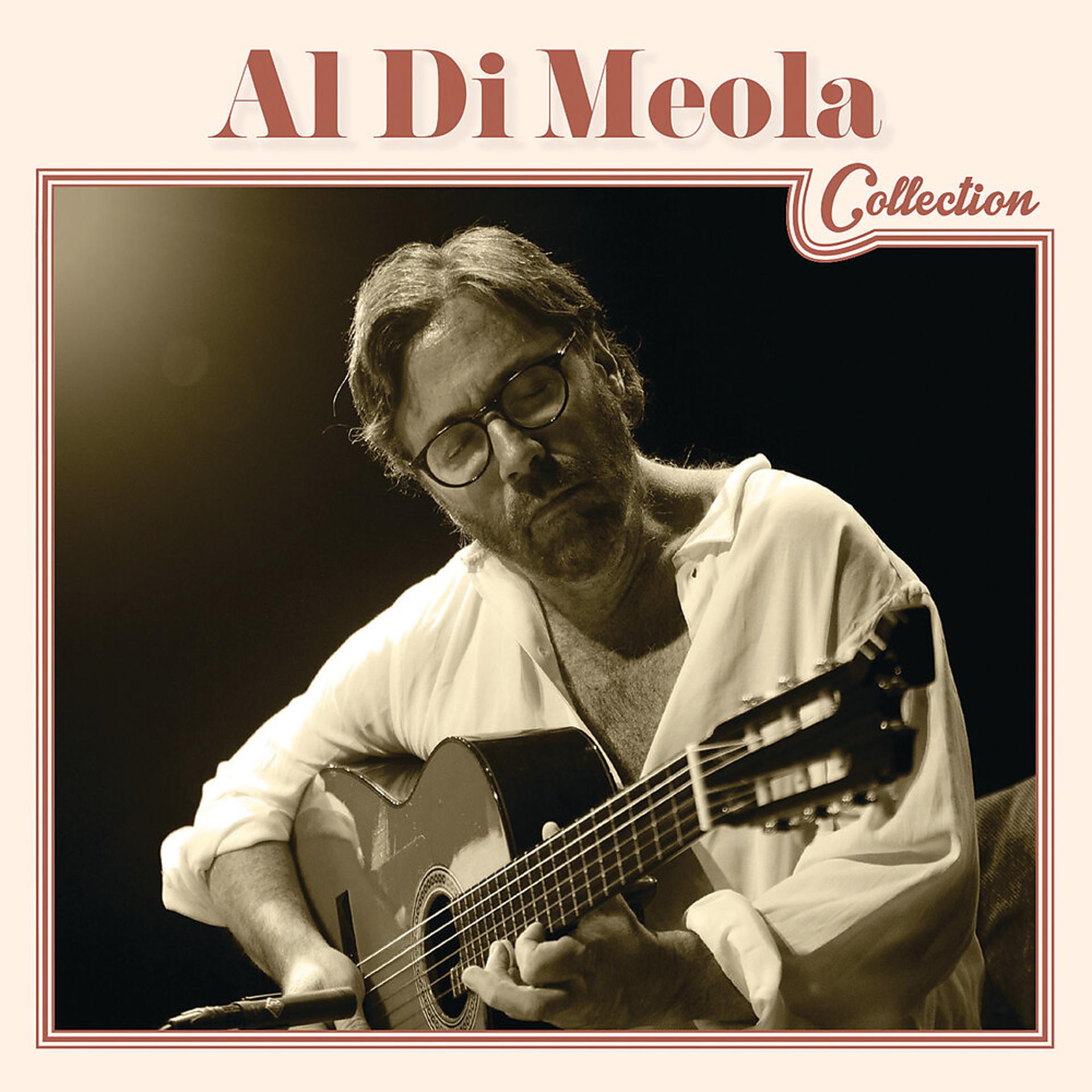 Постер альбома Al Di Meola Collection