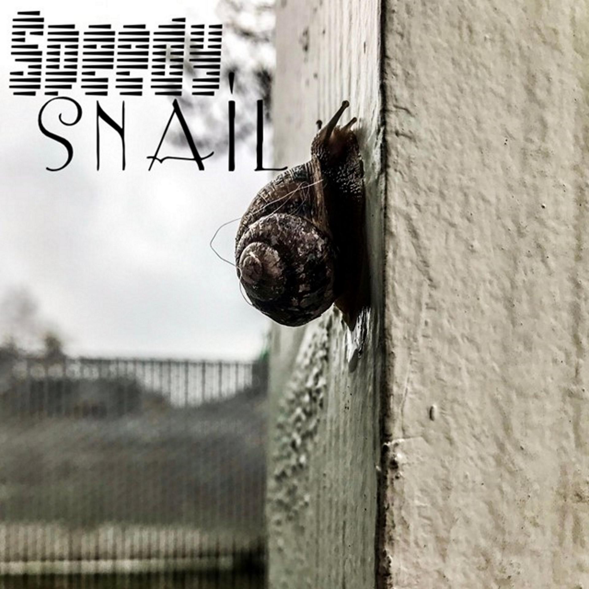 Постер альбома Speedy Snail