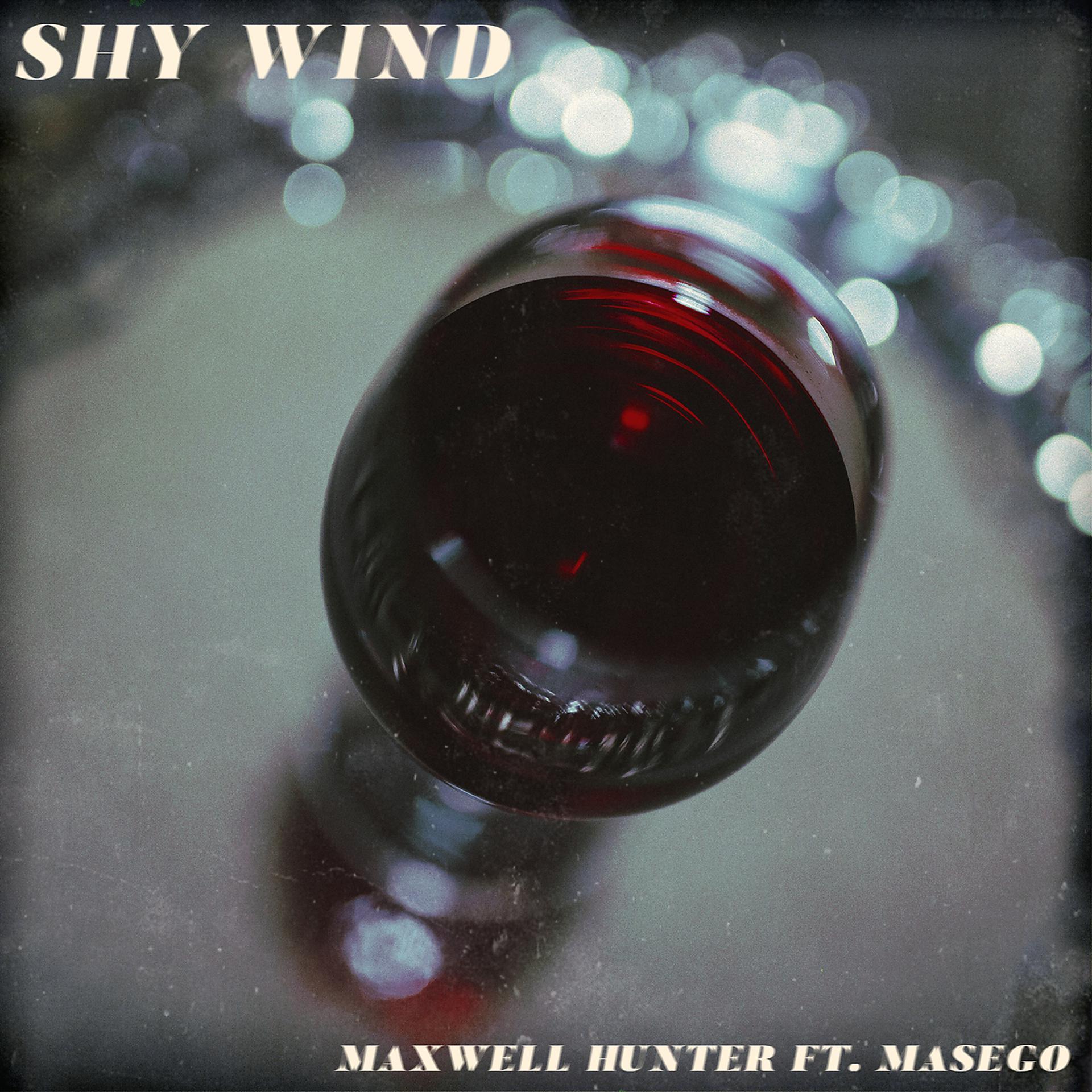 Постер альбома Shy Wind