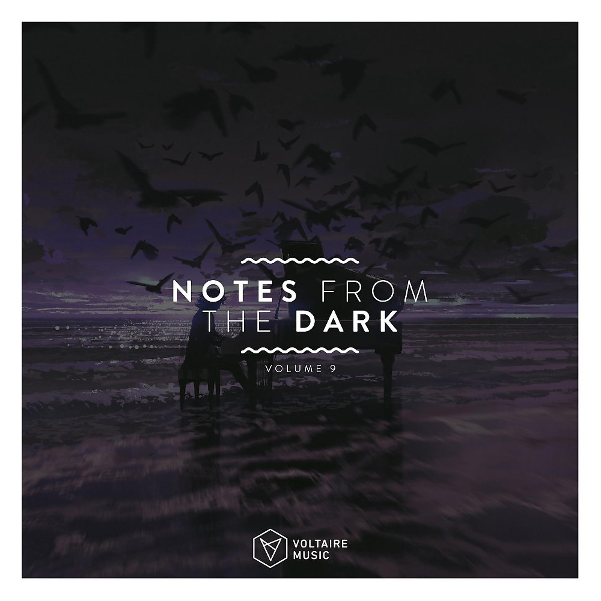 Постер альбома Notes from the Dark, Vol. 9